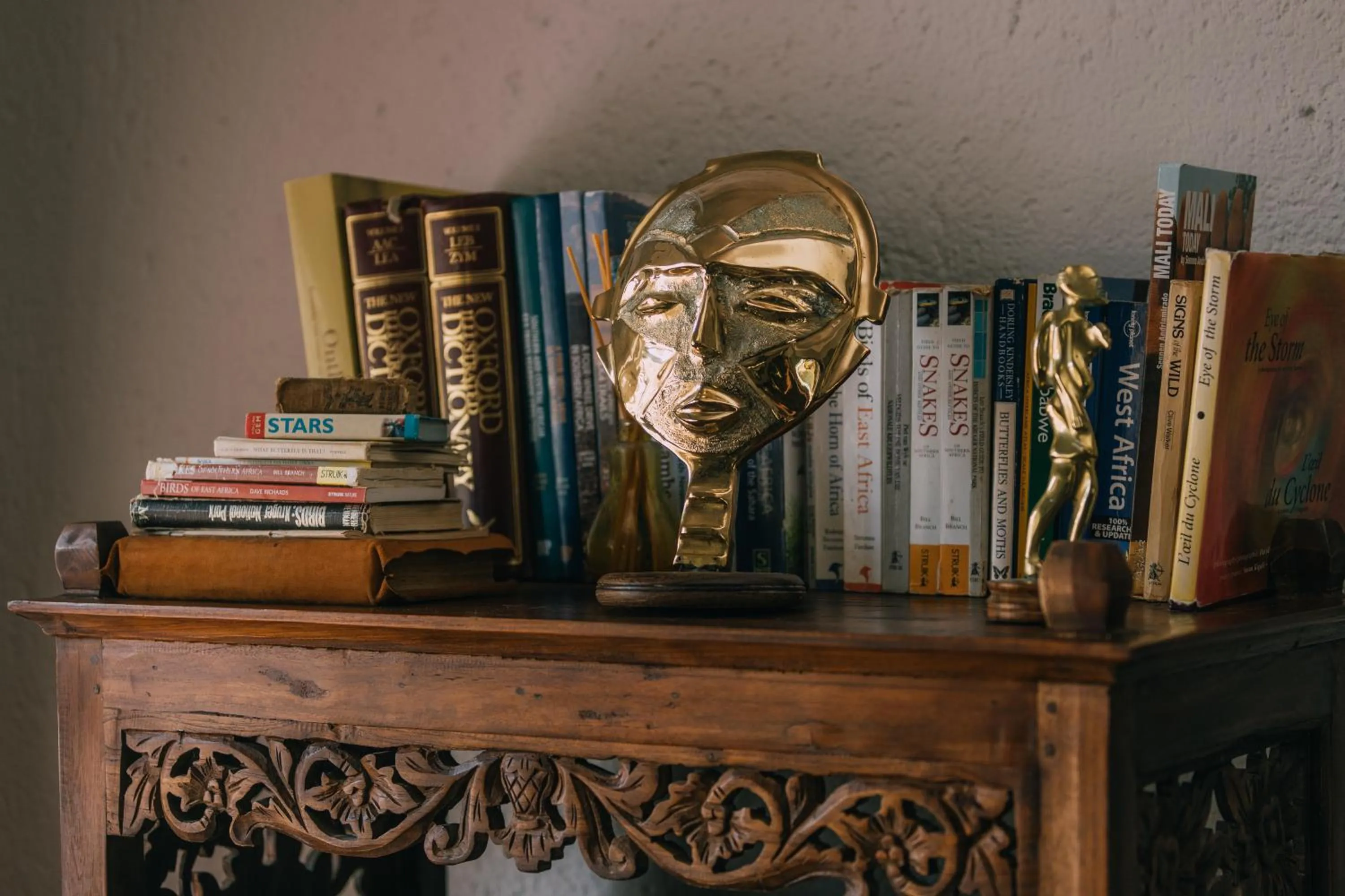 Library in Beetleloop Guest House