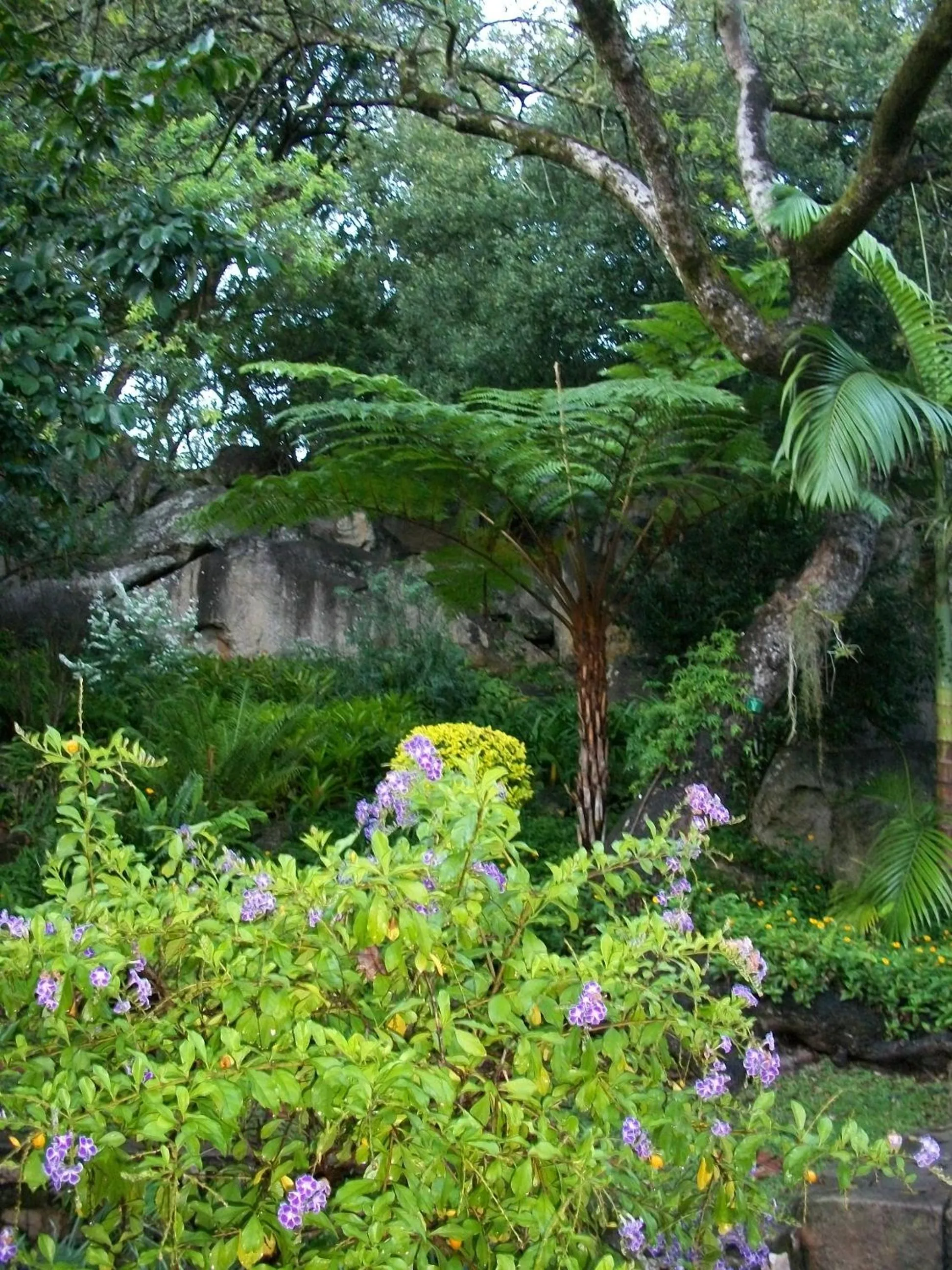 Garden in Beetleloop Guest House