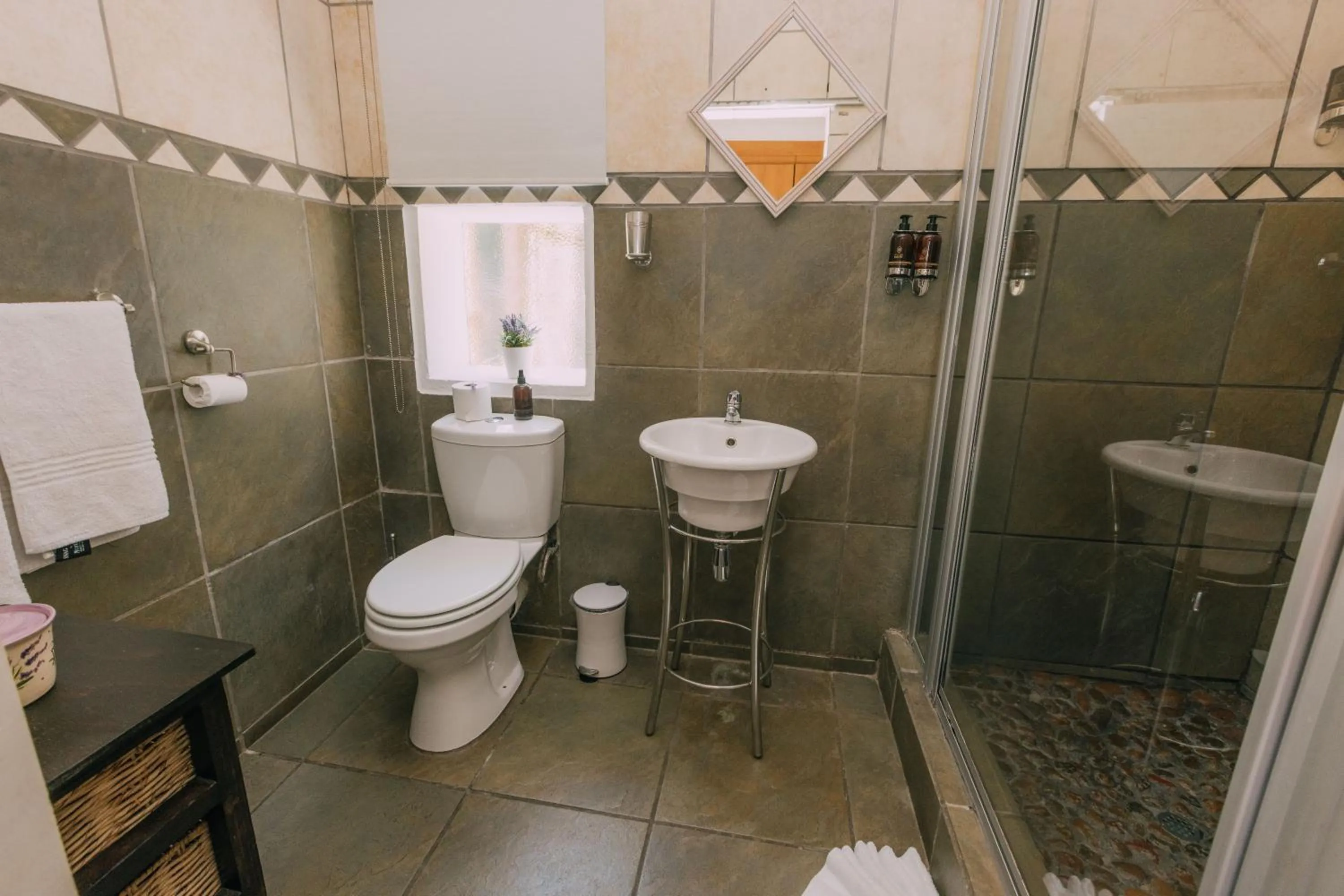 Shower in Beetleloop Guest House