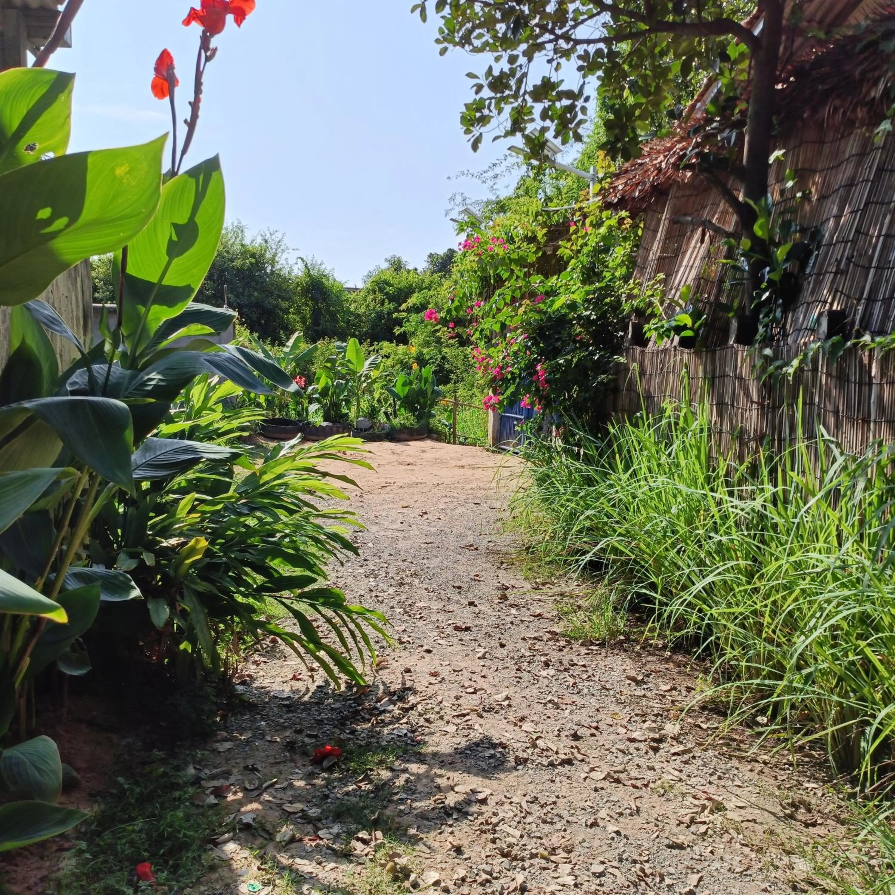 Property building in Siem Reap Homesteading