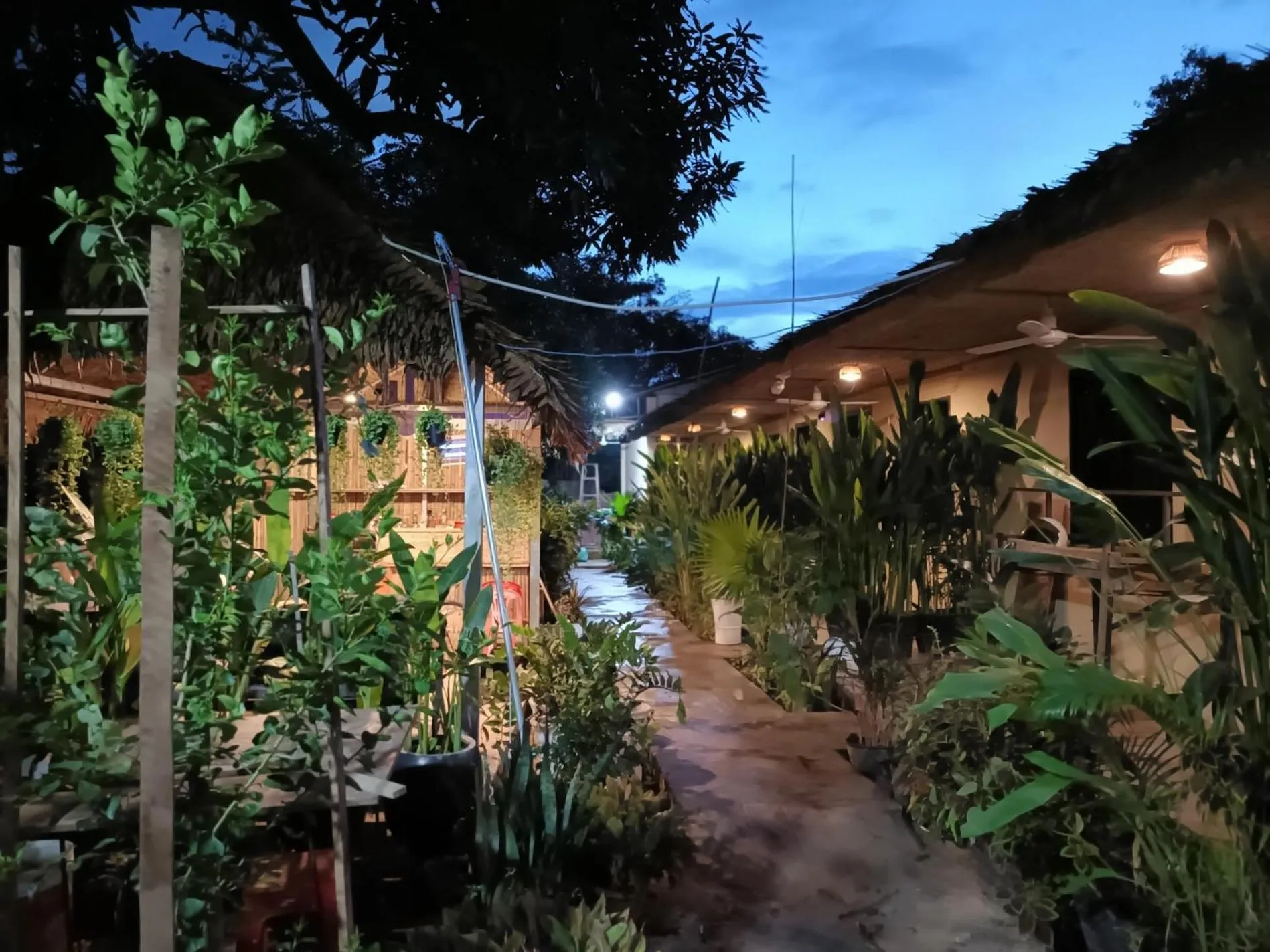 Night in Siem Reap Homesteading