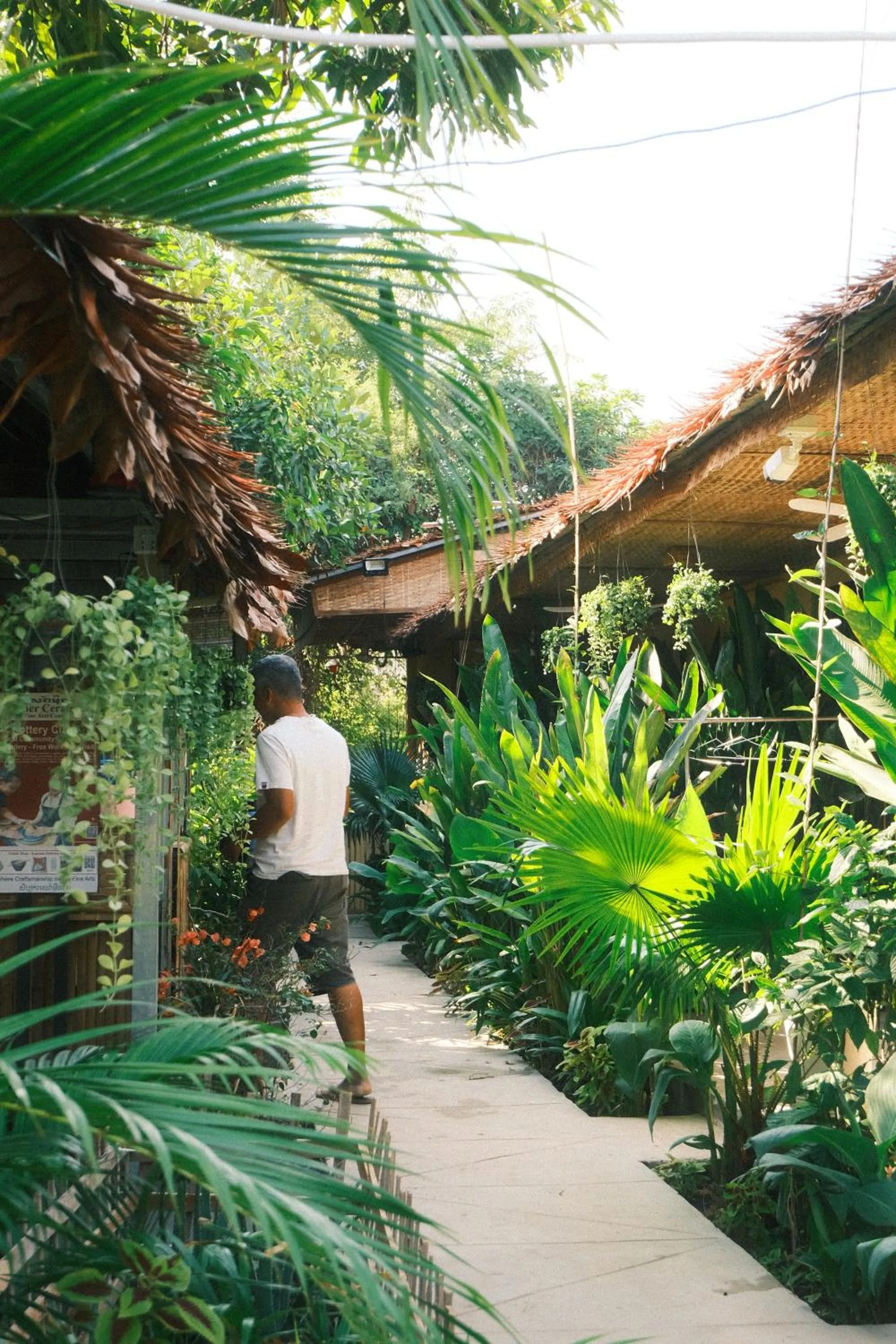 Day in Siem Reap Homesteading