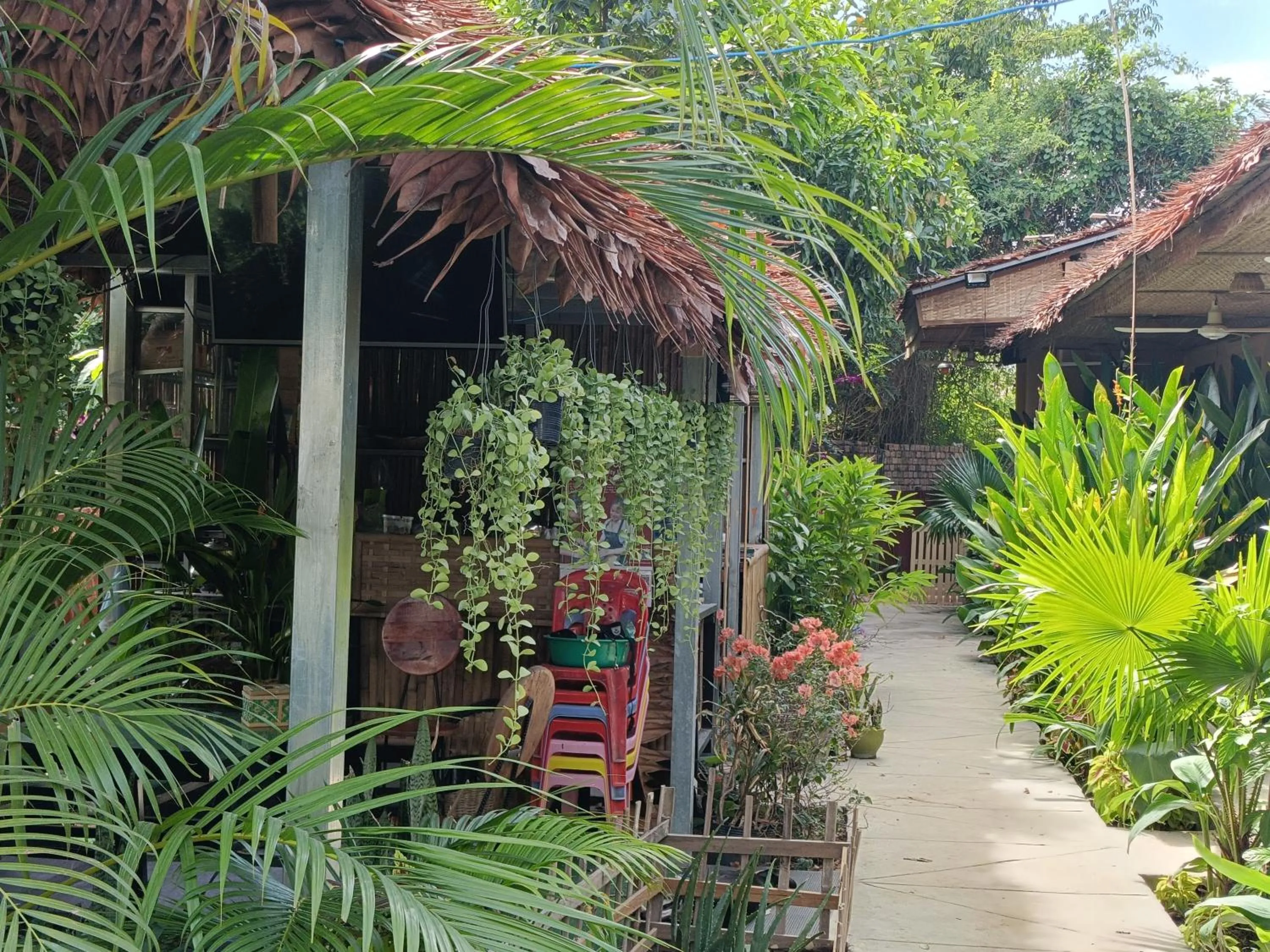 Day in Siem Reap Homesteading