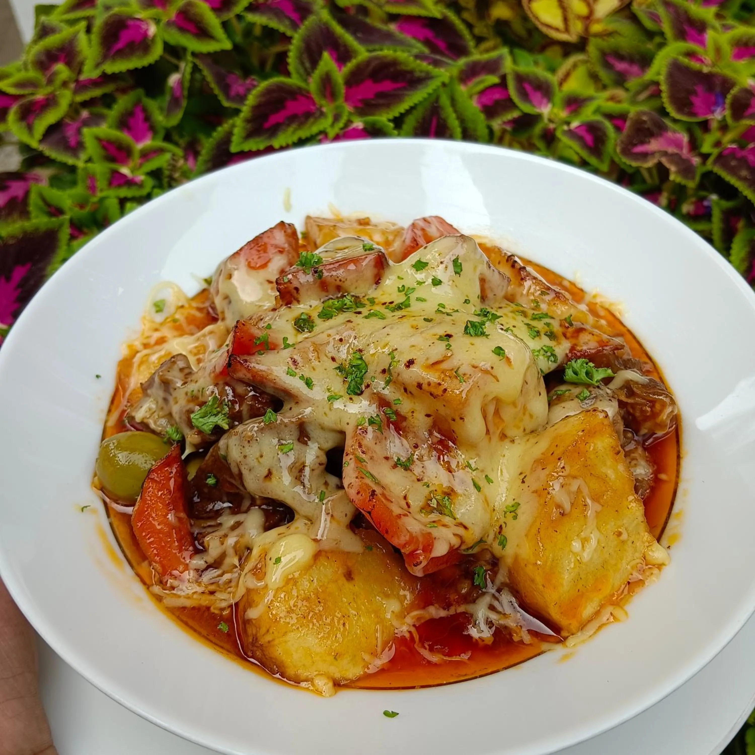 Food and drinks in Villas by Eco Hotels