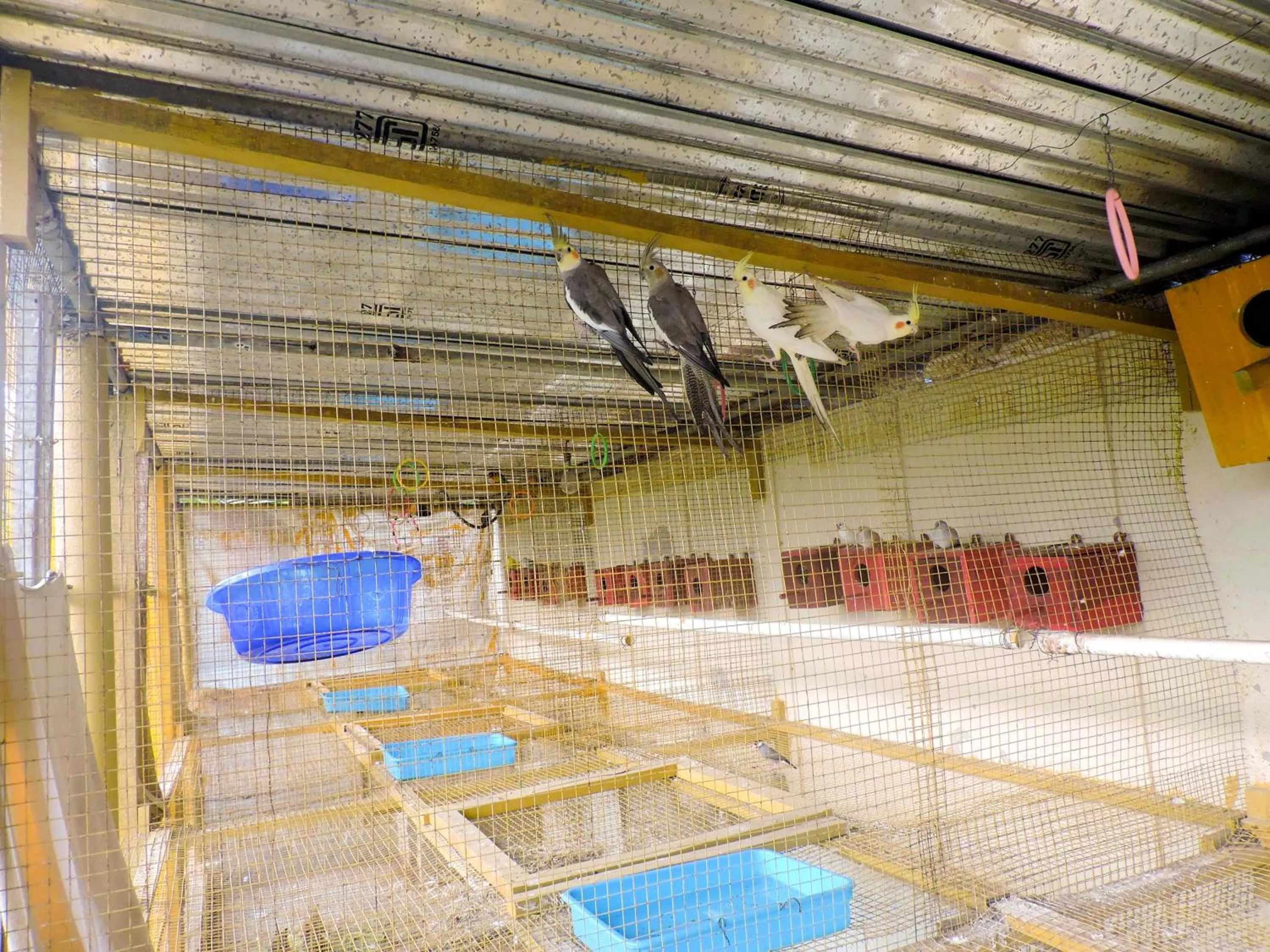 Garden in Le Roi Digha