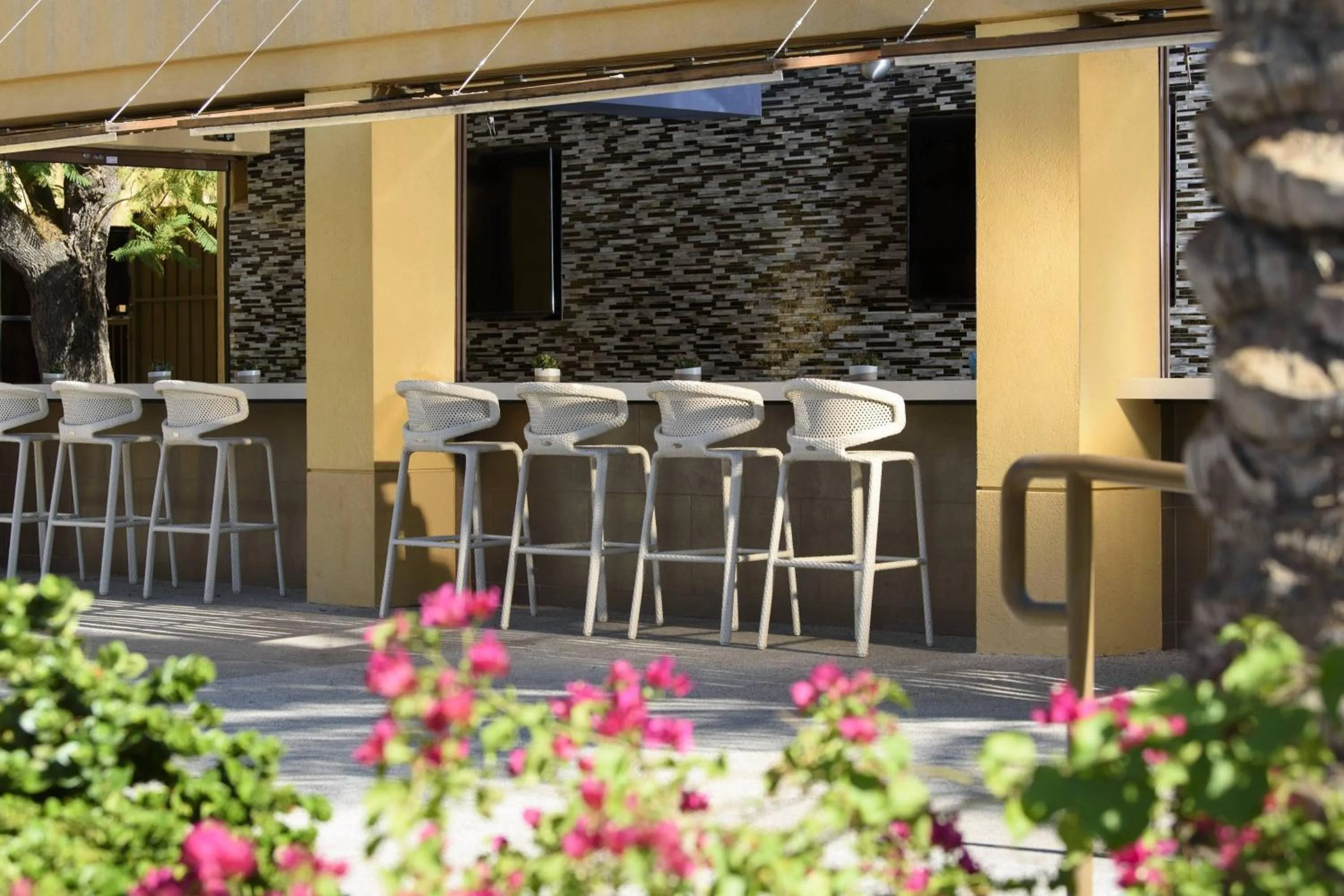 Swimming pool in Renaissance Palm Springs Hotel