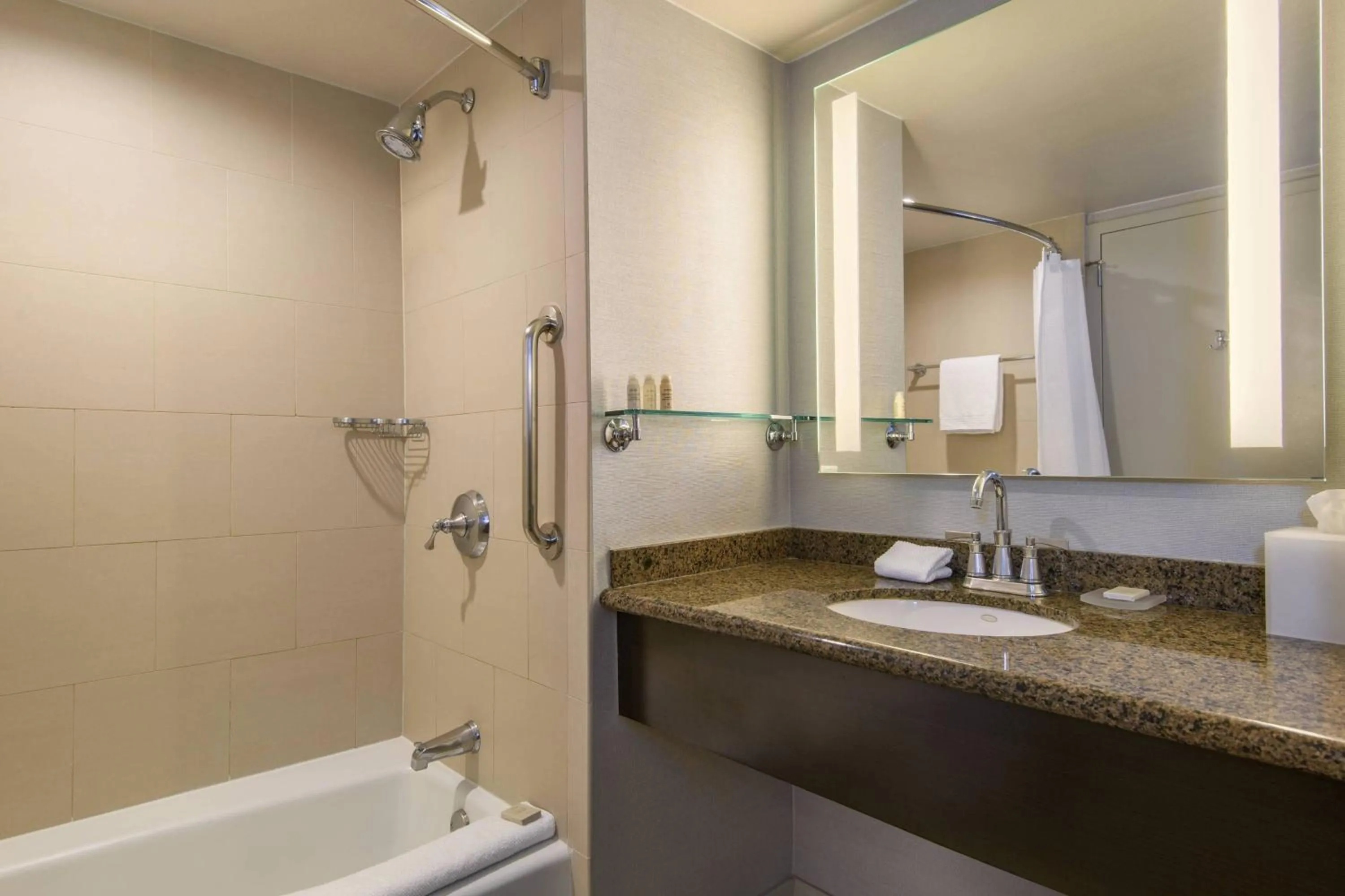 Bathroom in Renaissance Palm Springs Hotel