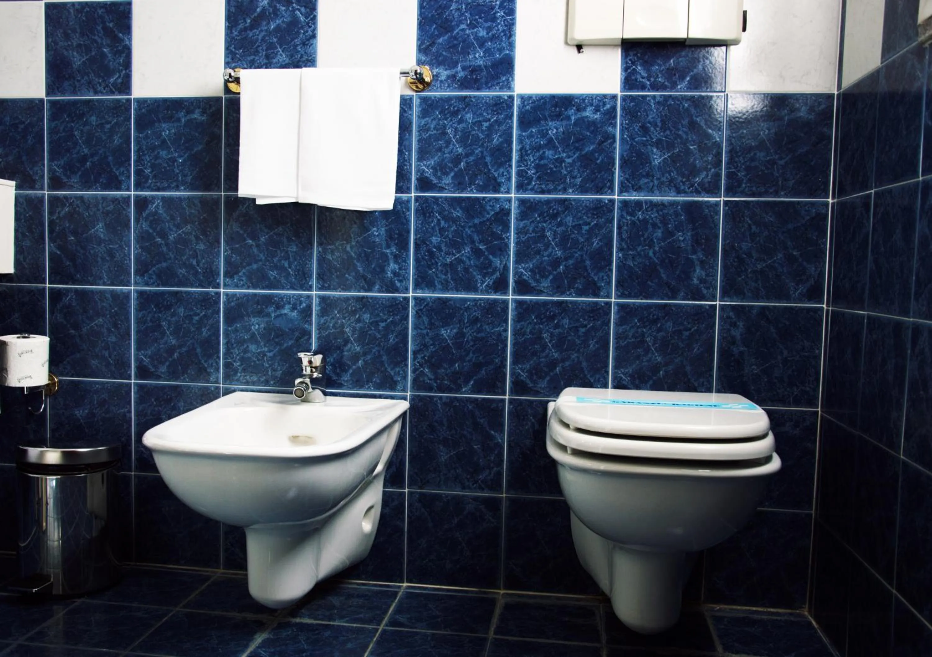 Toilet in Hotel Visconti