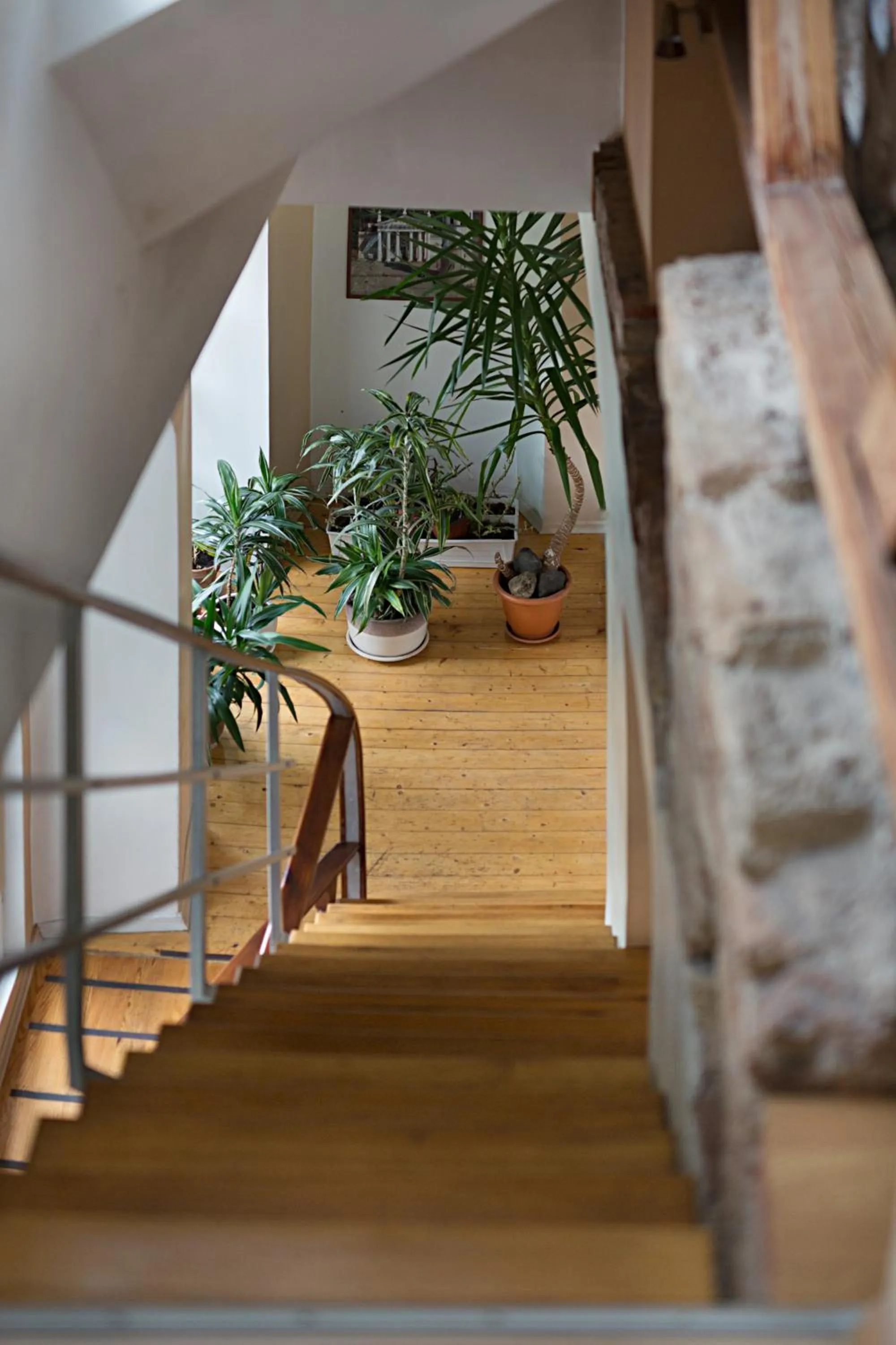 Decorative detail in Bernardinu B&B House