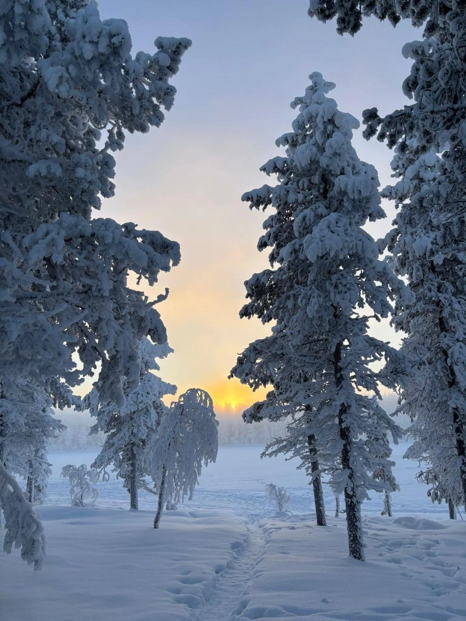 Arctic Lodge Hetan Kota