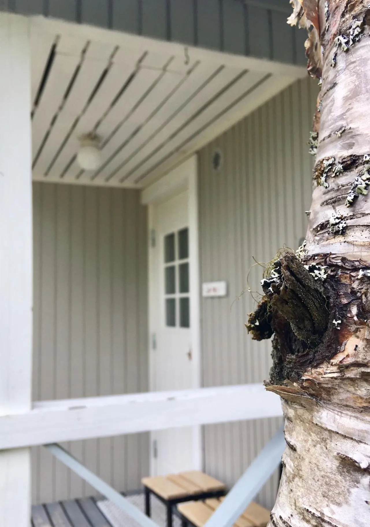 Property building in Arctic Lodge Hetan Kota