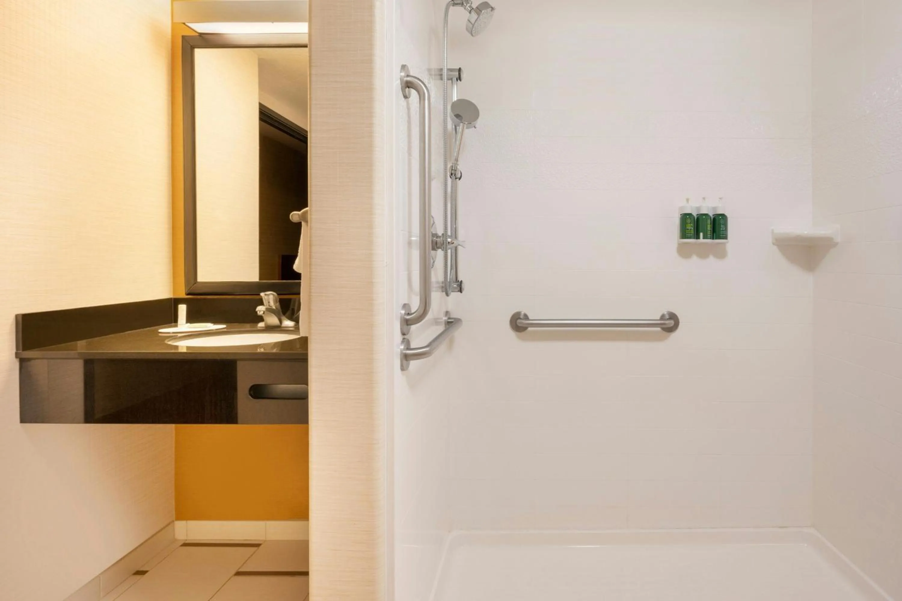 Bathroom in Fairfield Inn & Suites by Marriott Salt Lake City Downtown