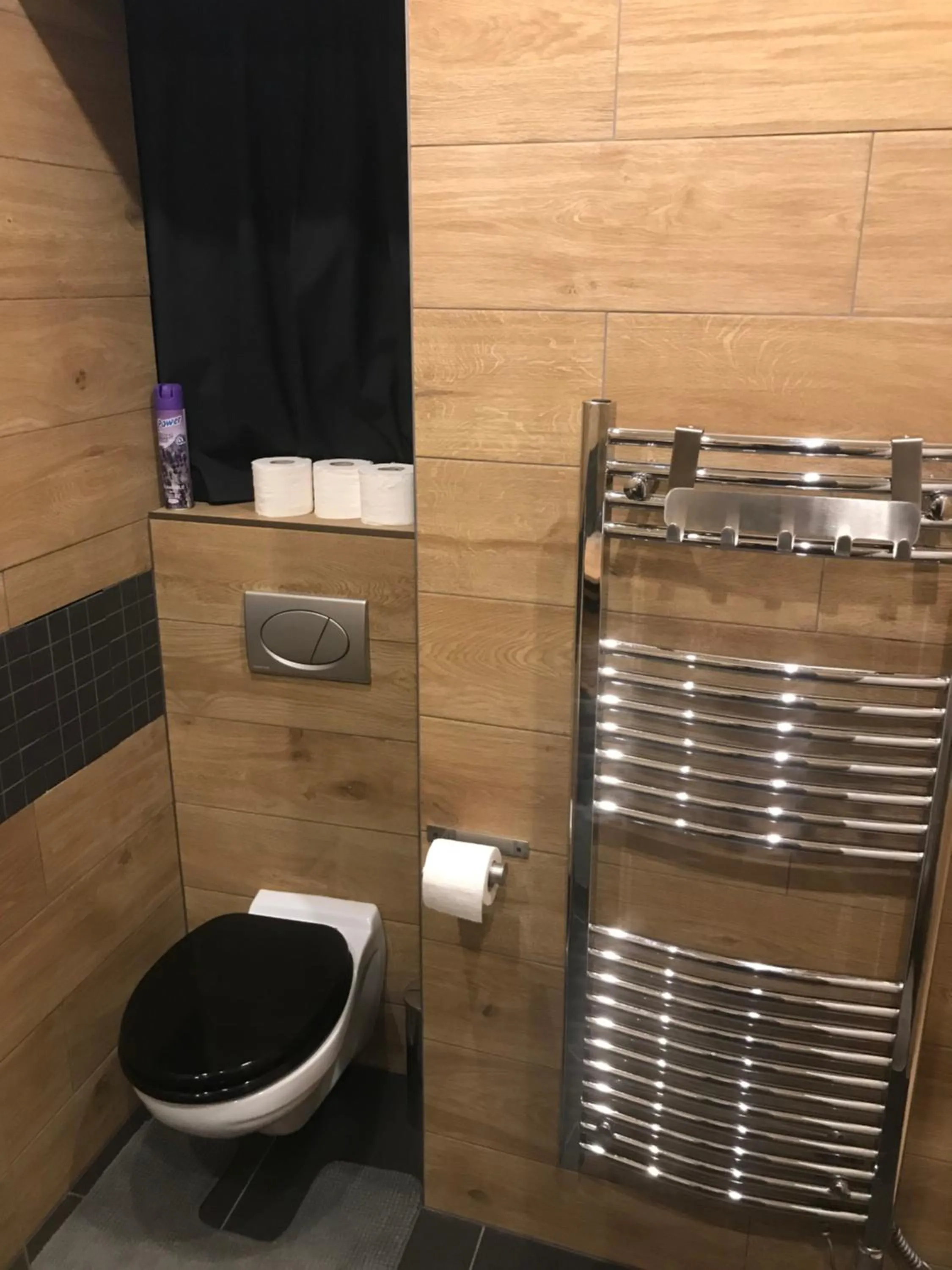 Bathroom in Apartman Stiavnica