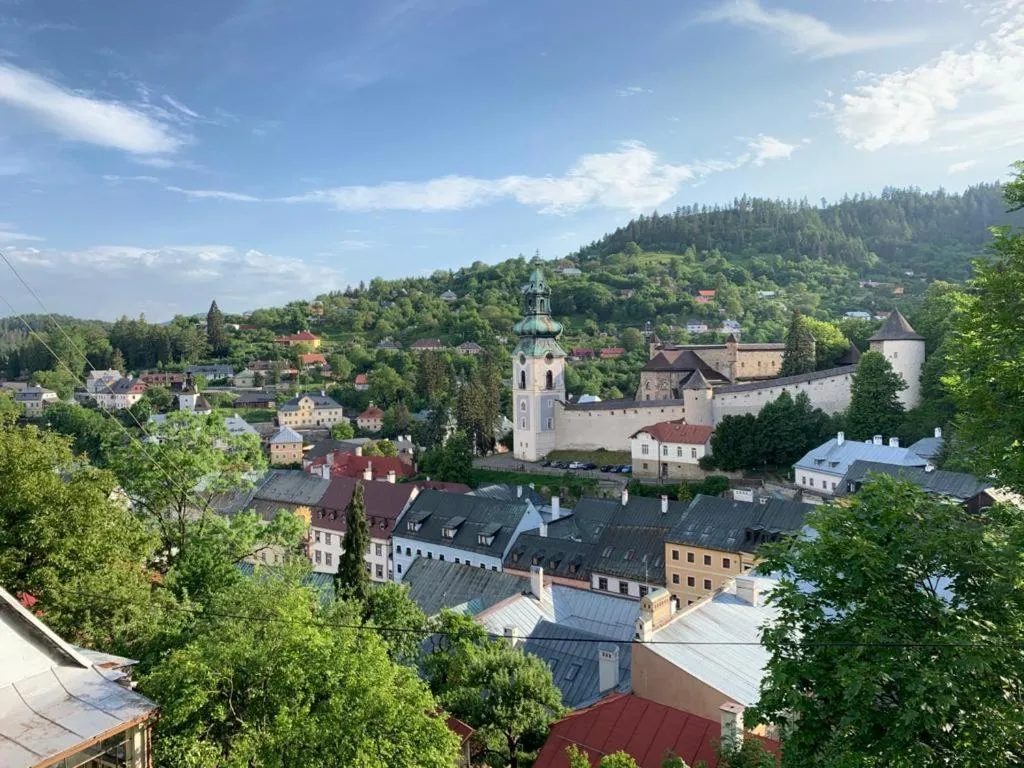 Neighbourhood in Apartman Stiavnica