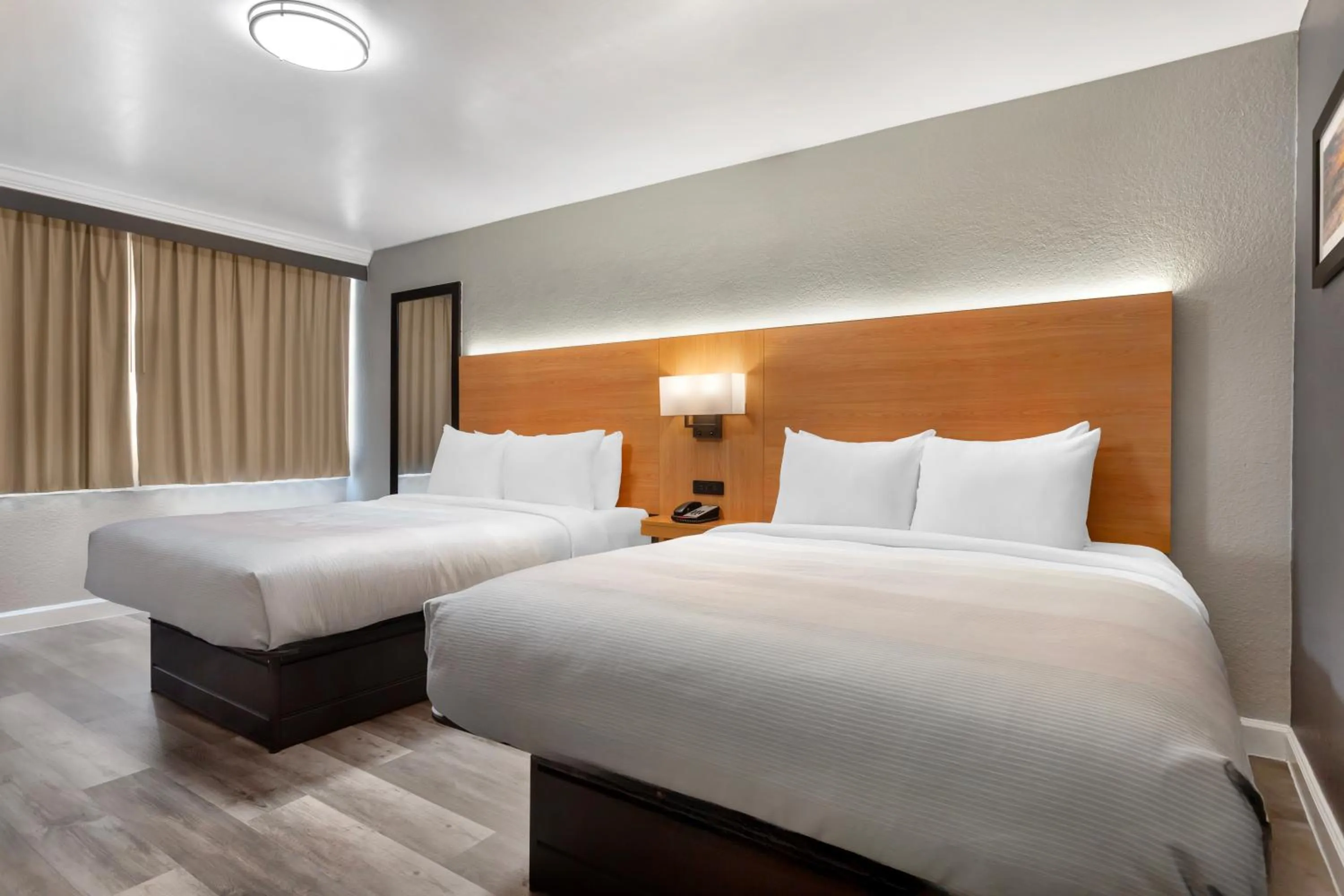 Bed in Quality Inn and Conference Center Tampa-Brandon