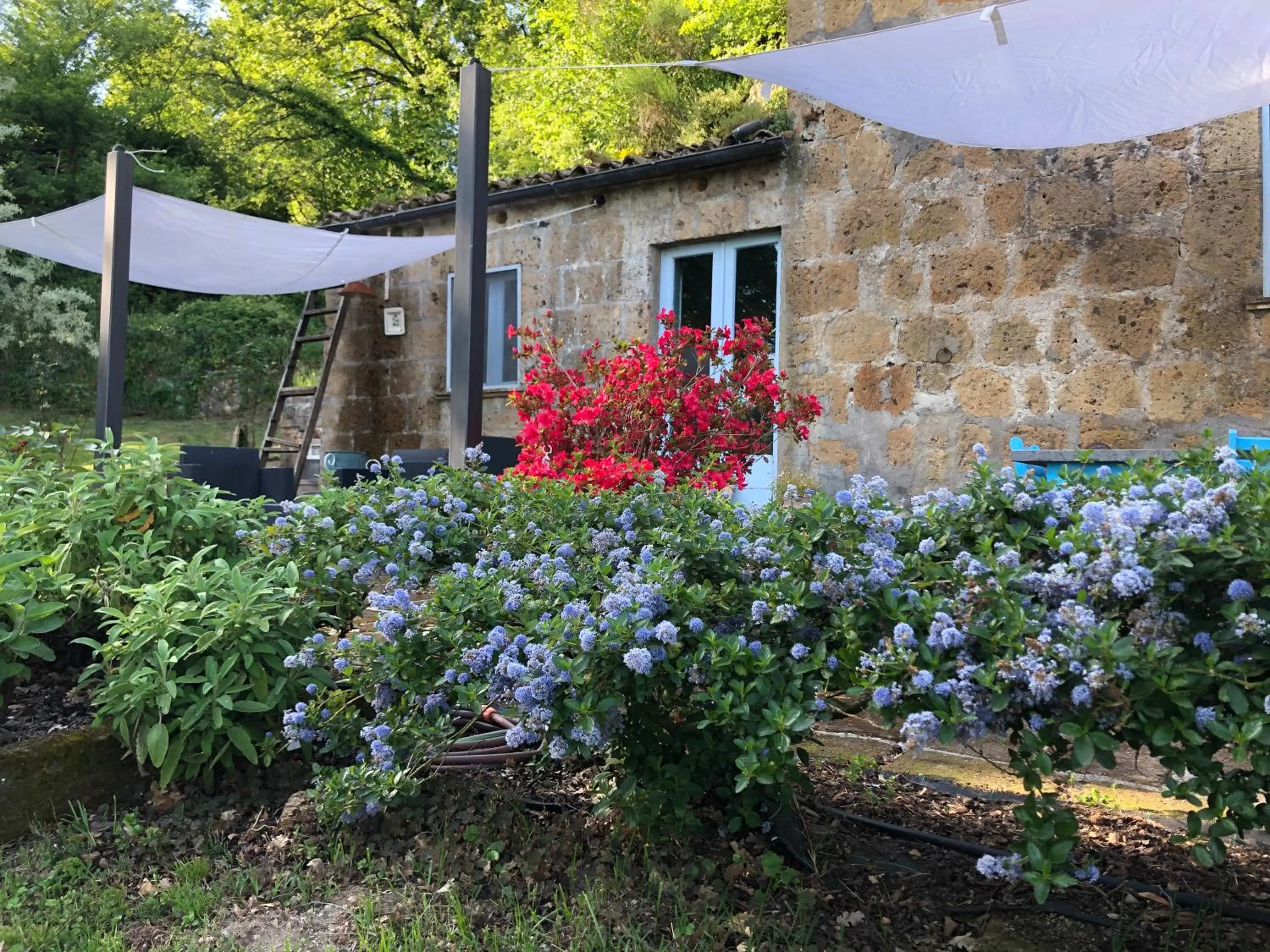 Patio in L'antico Molino