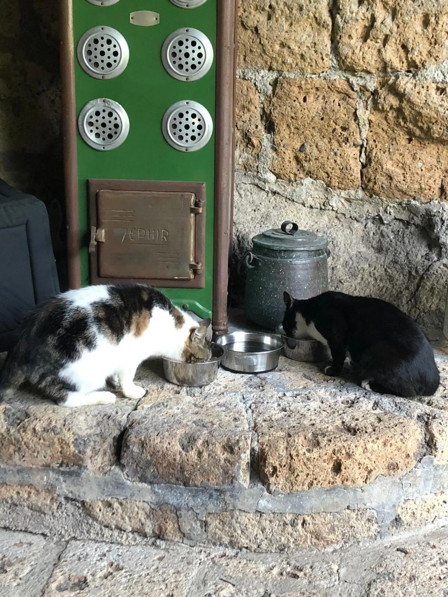 Pets in L'antico Molino