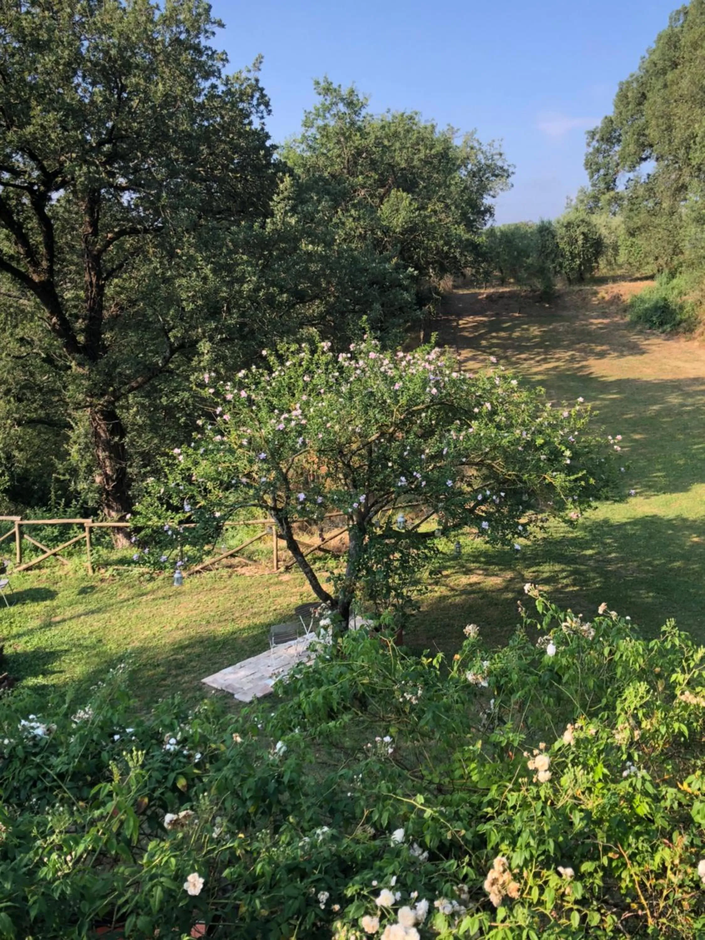 Garden in L'antico Molino