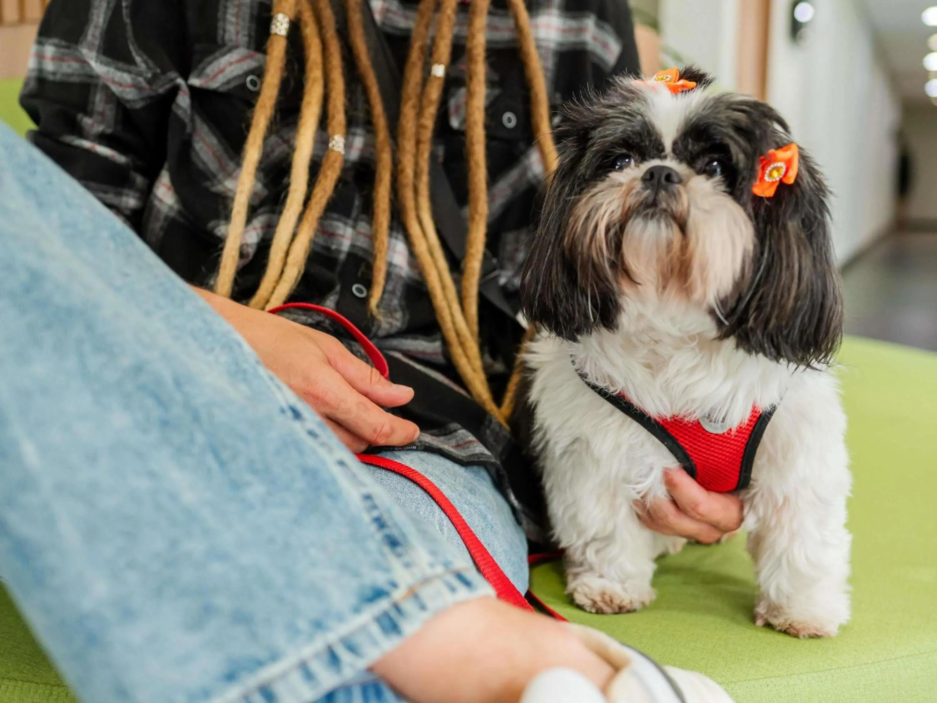 Other in Ibis Styles Campinas Alphaville