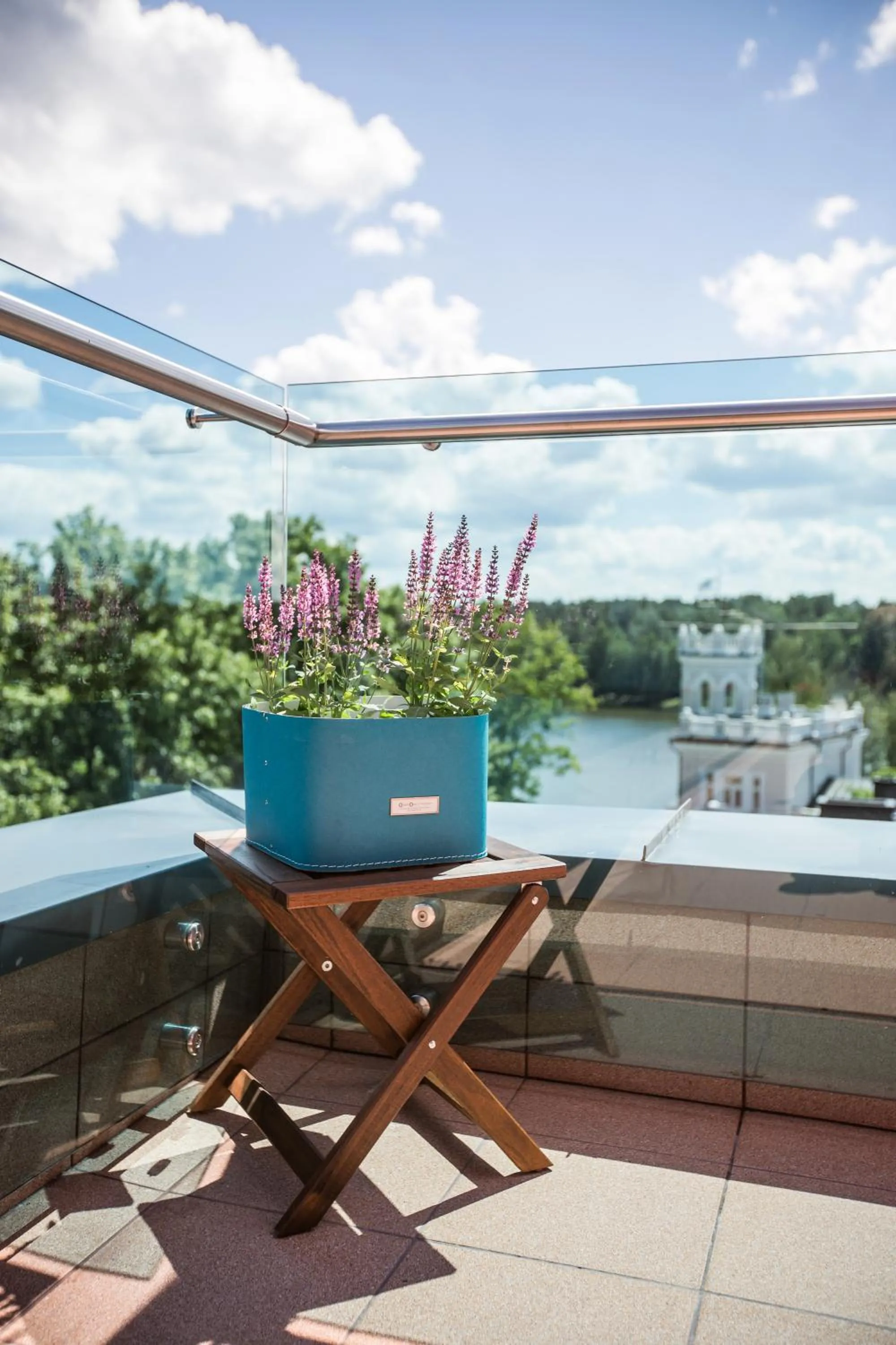 Decorative detail in Viešbutis Simpatija