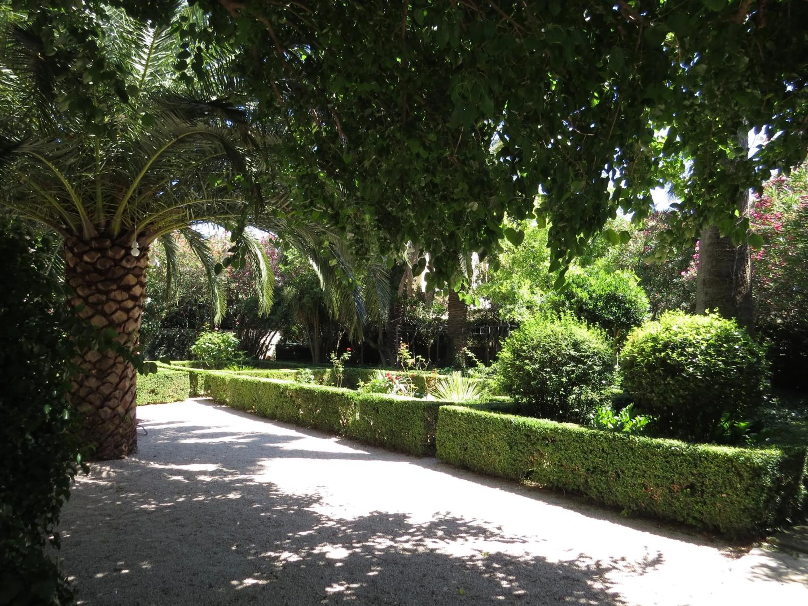 Garden in Villa Cindro House