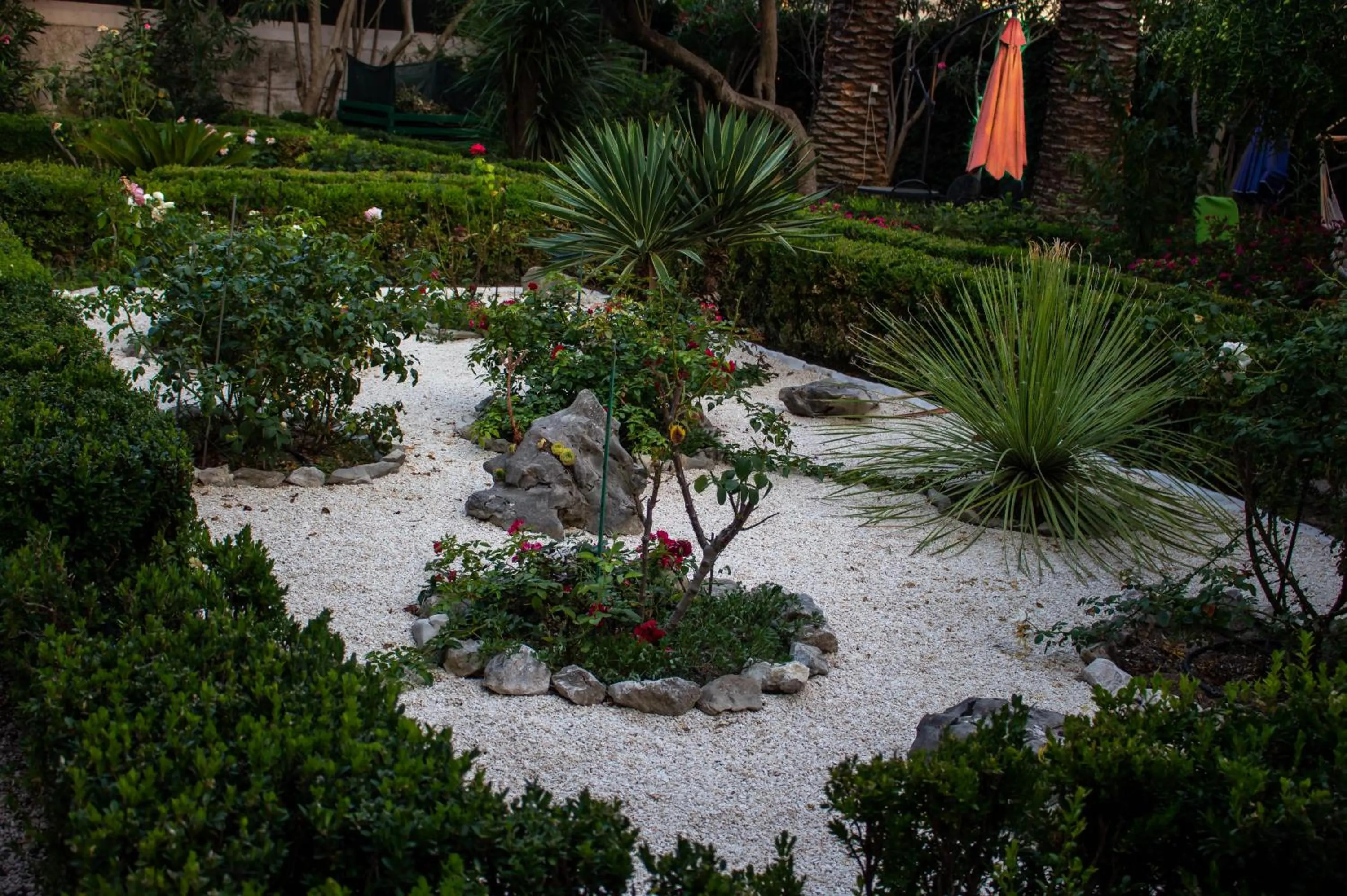 Garden in Villa Cindro House