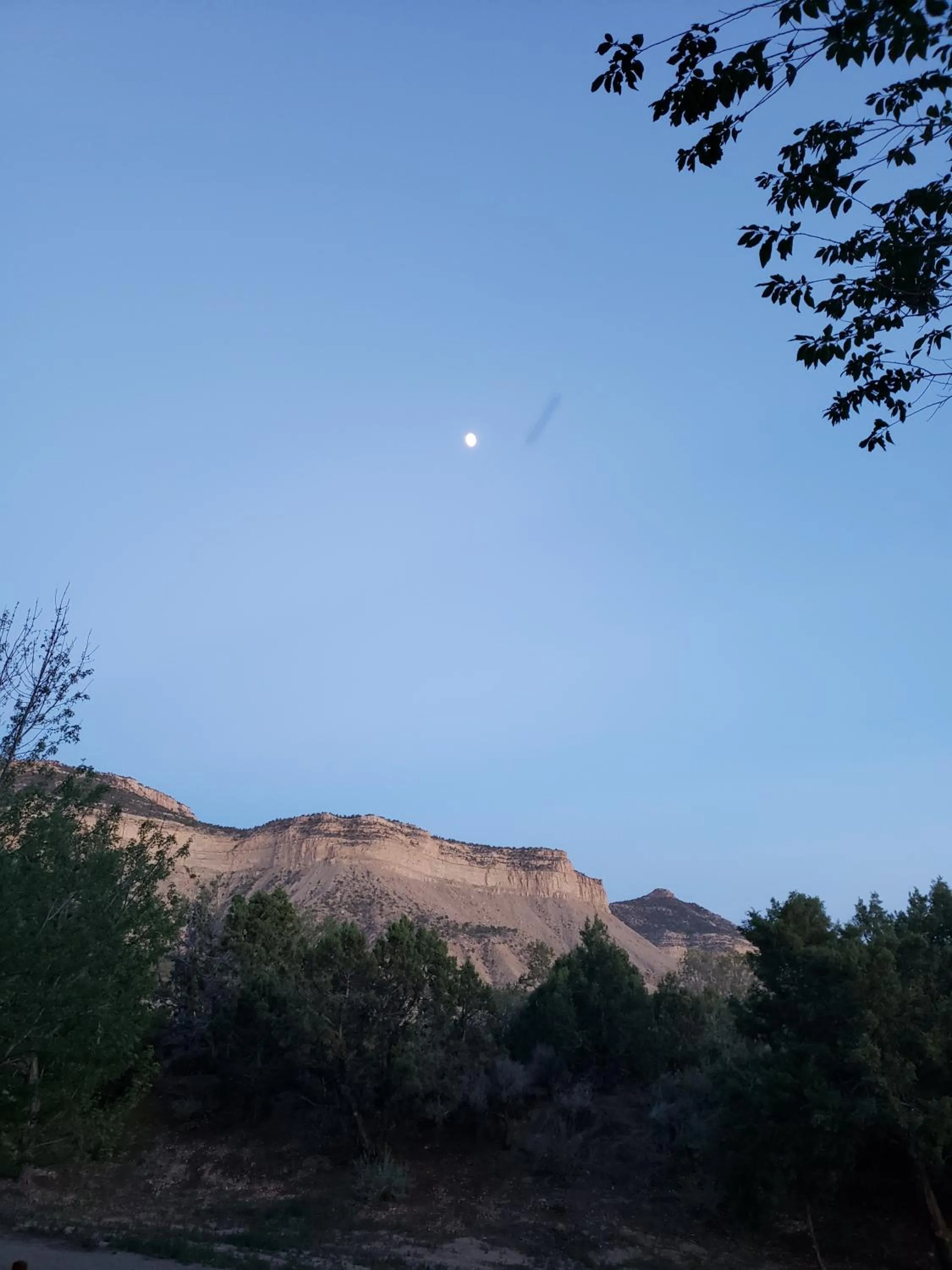 Natural landscape in Grizzly Roadhouse Bed and Breakfast