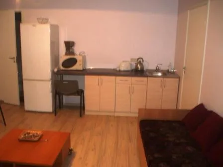 Kitchen or kitchenette in Kaunas Apartments