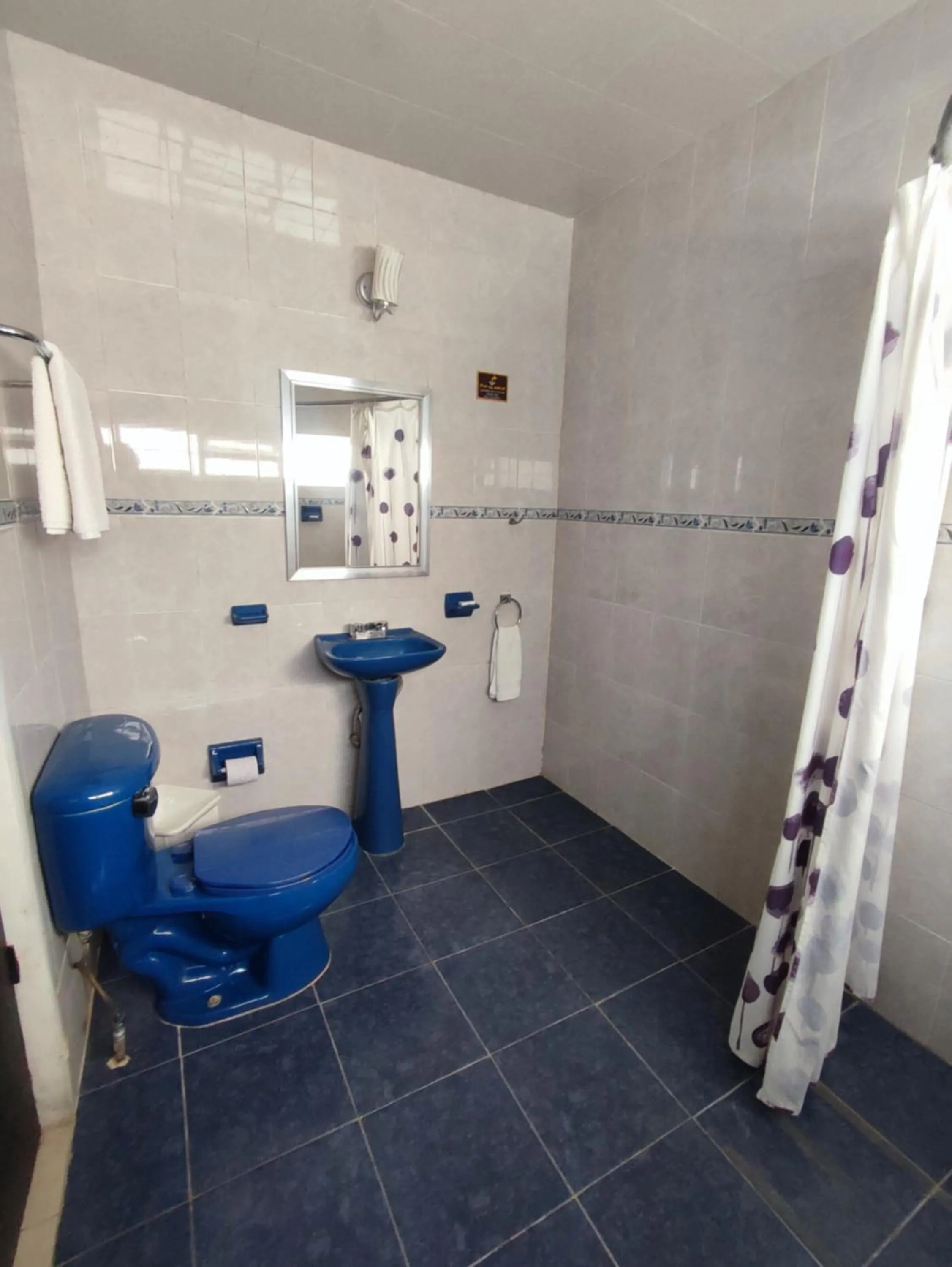 Bathroom in Hotel Del Valle, Tecamachalco