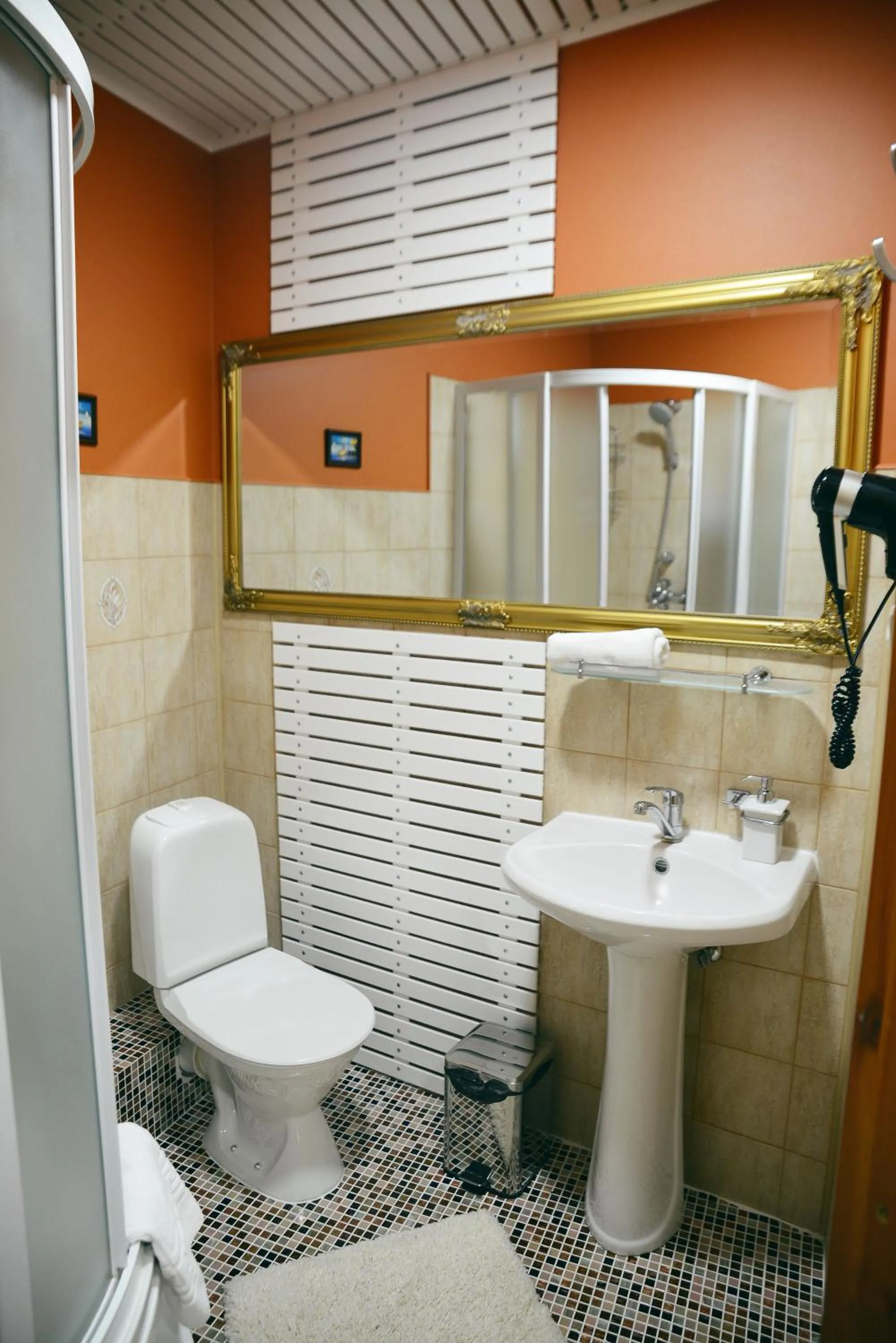 Bathroom in Ferdinands