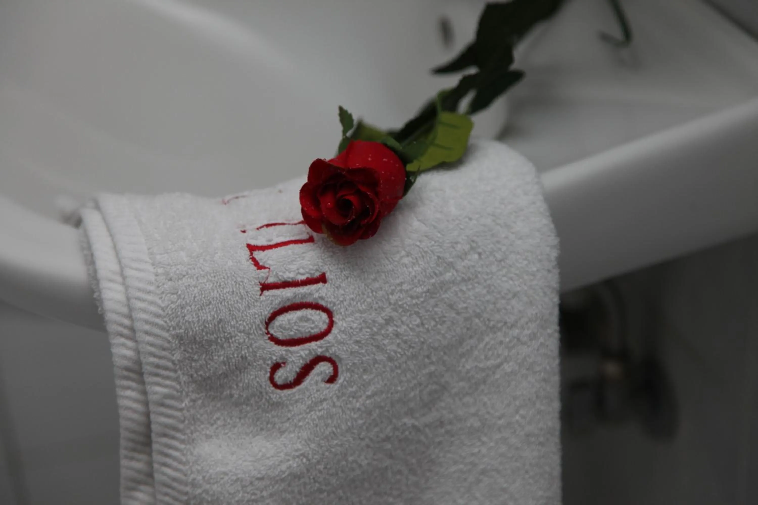 Decorative detail in Ilios