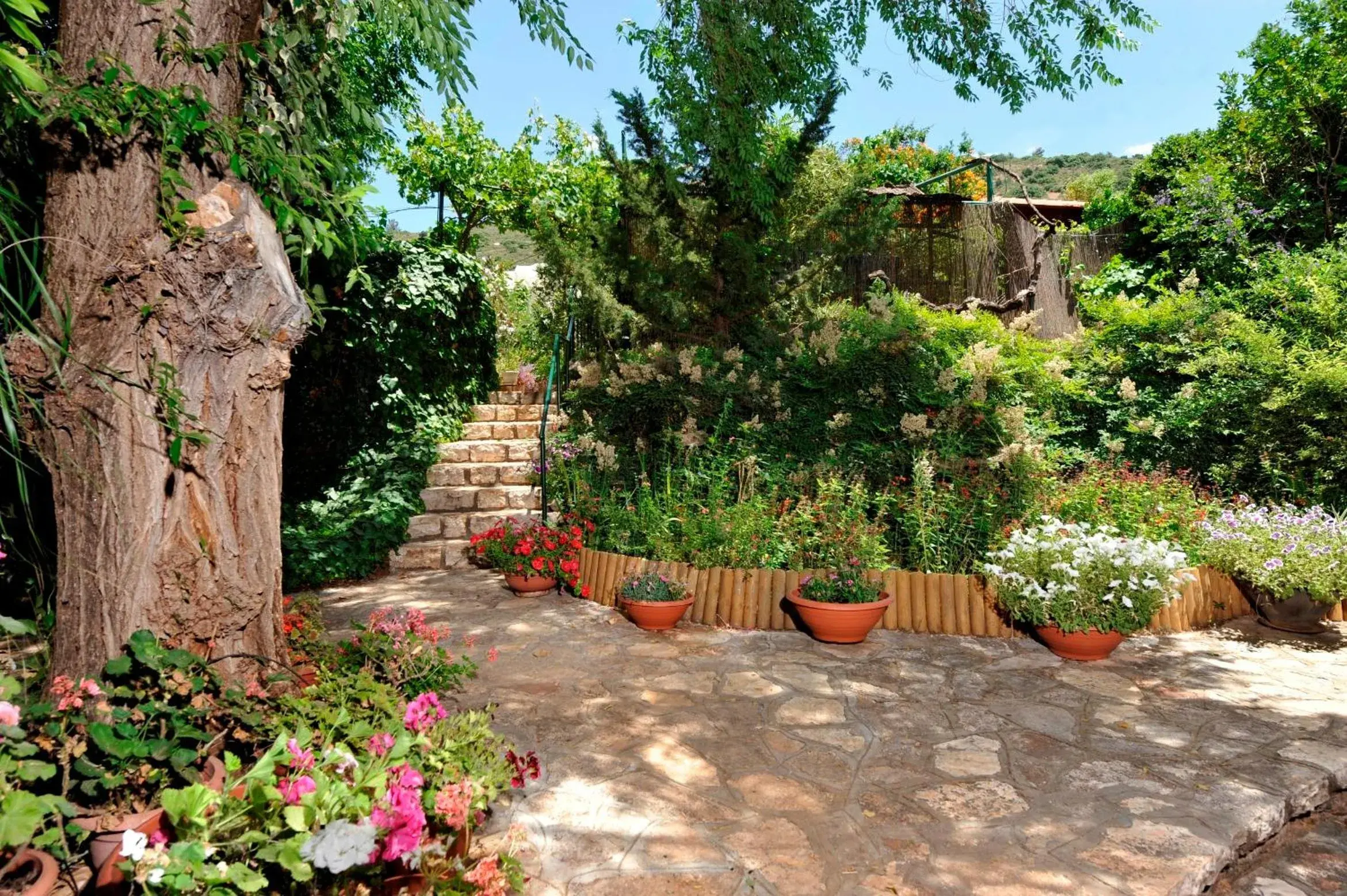 Suite with Spa Bath in Eretz Hagalil - Land of Galilee Suite with Spa Bath in Eretz Hagalil - Land of Galilee