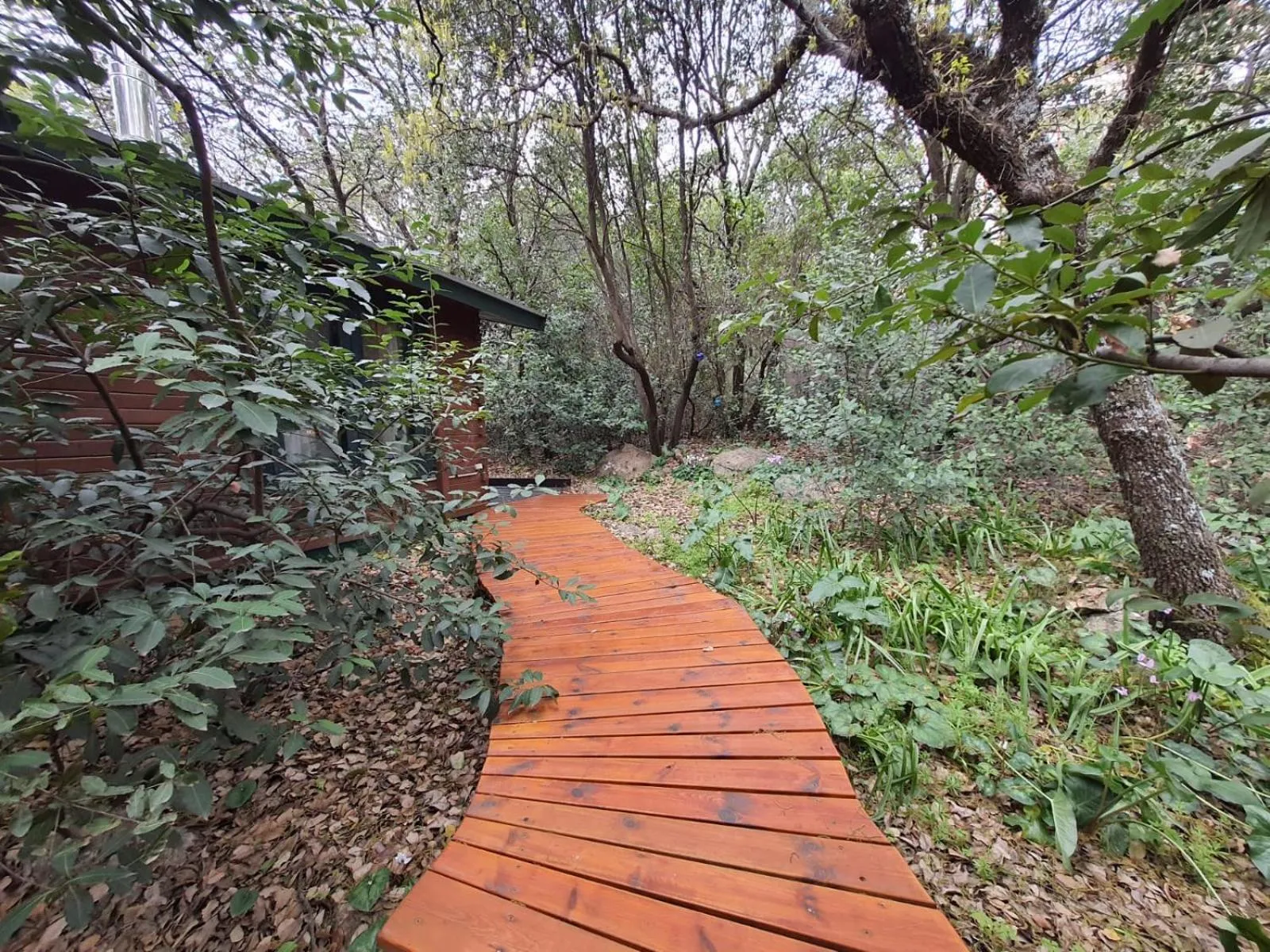 Natural landscape in Eretz Hagalil - Land of Galilee