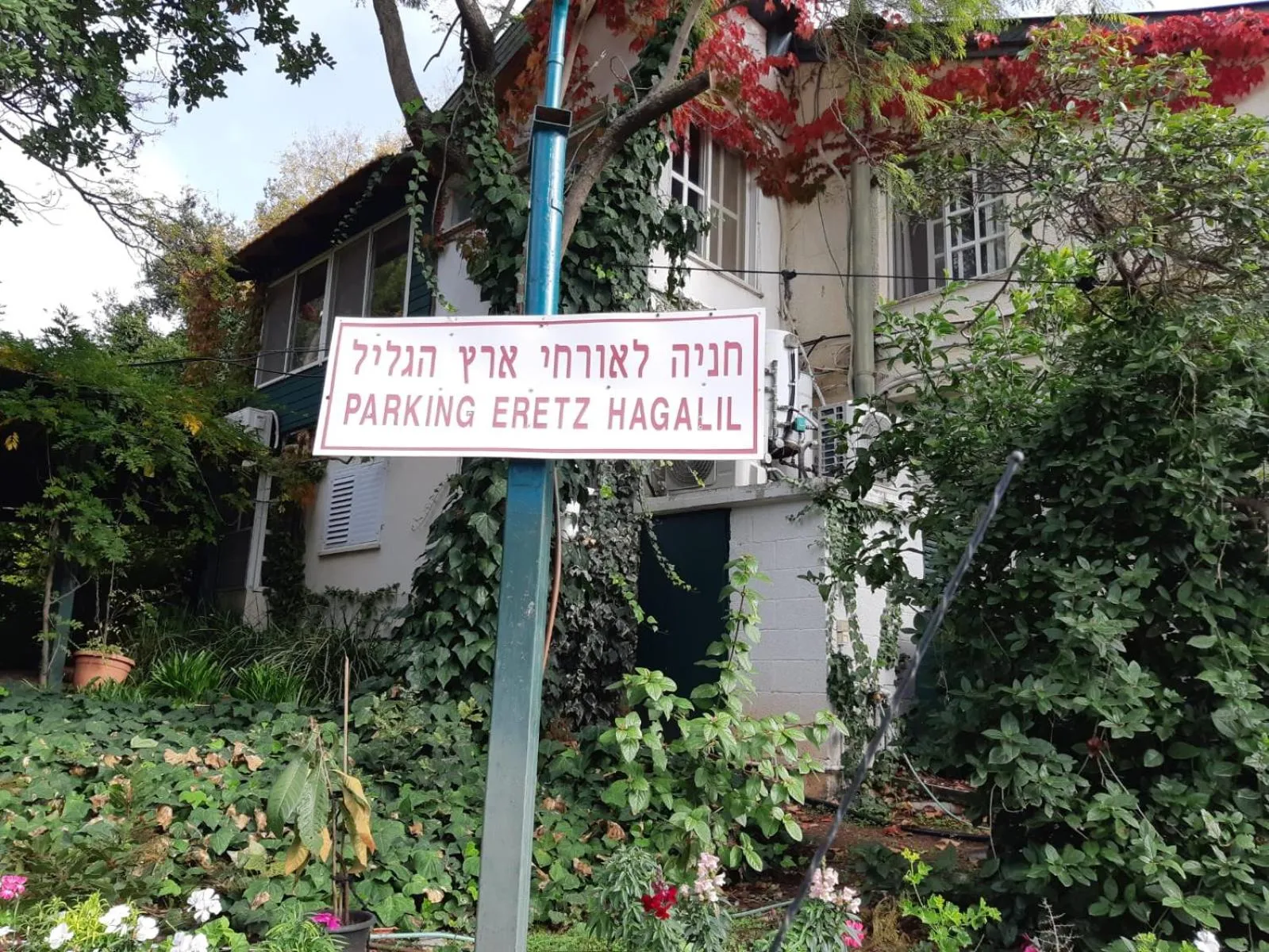Eretz Hagalil - Land of Galilee