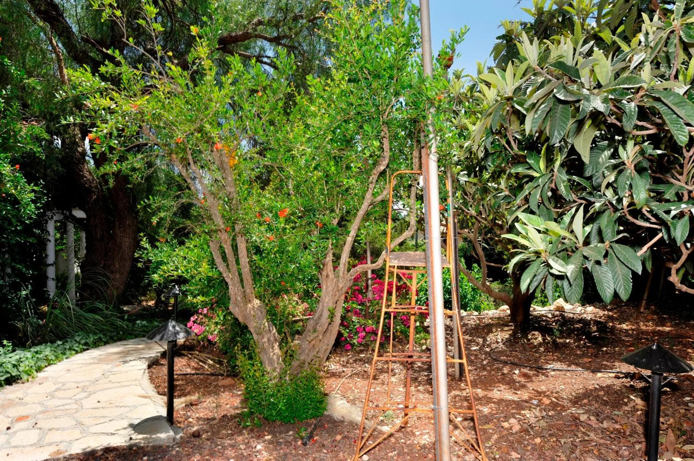Day in Eretz Hagalil - Land of Galilee