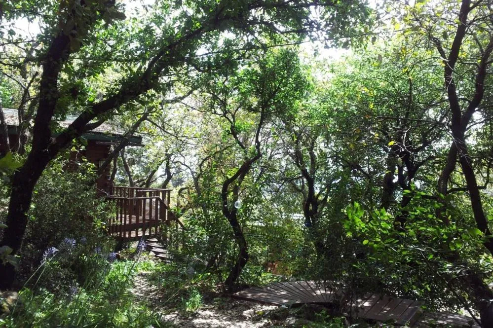 Natural landscape in Eretz Hagalil - Land of Galilee