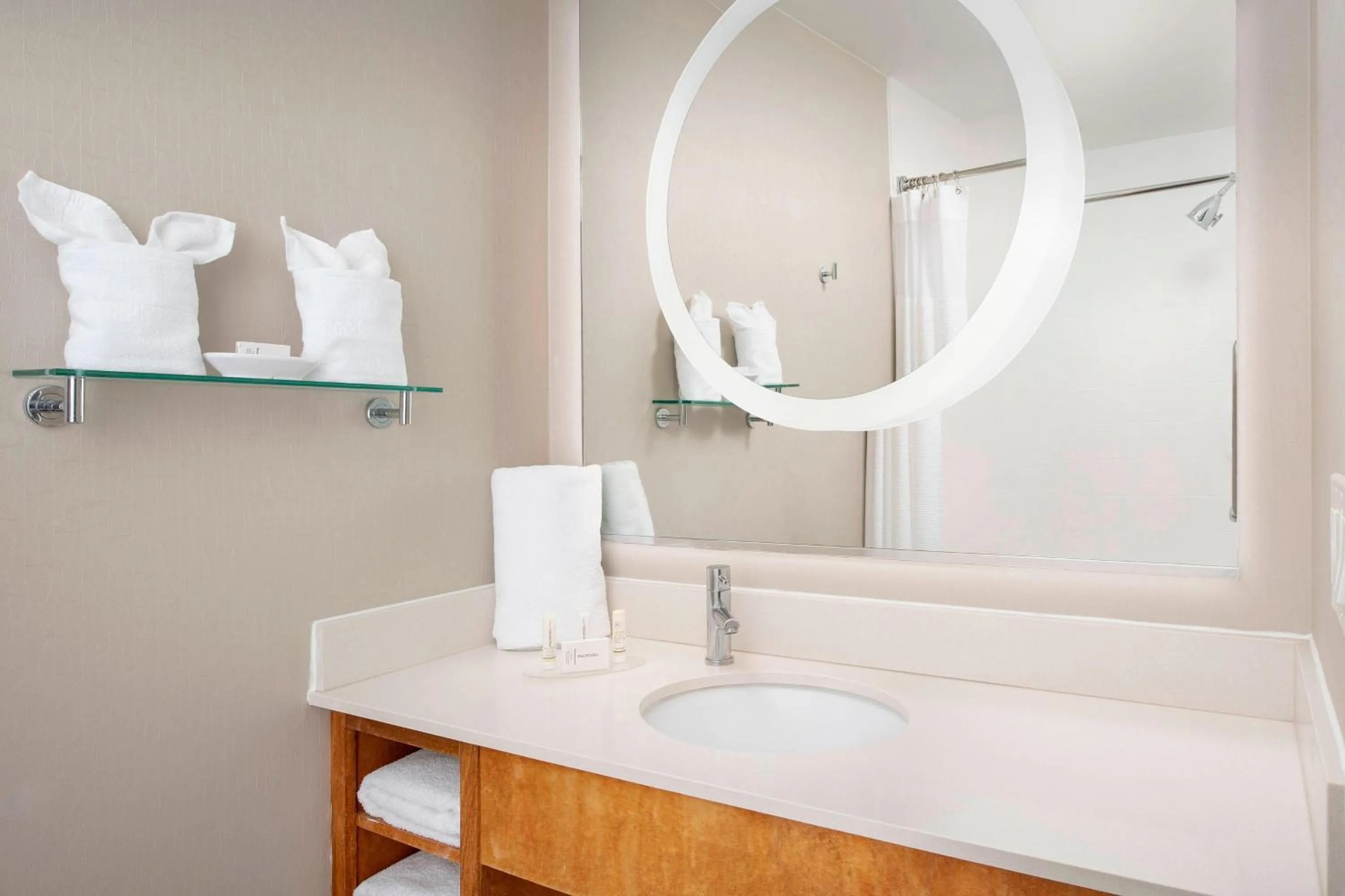 Bathroom in SpringHill Suites Potomac Mills Woodbridge