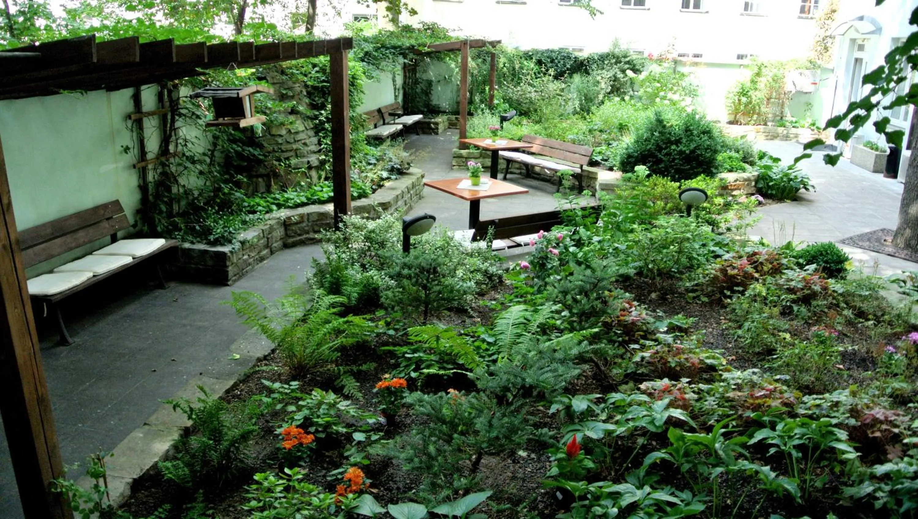 Garden in Hotel Museum