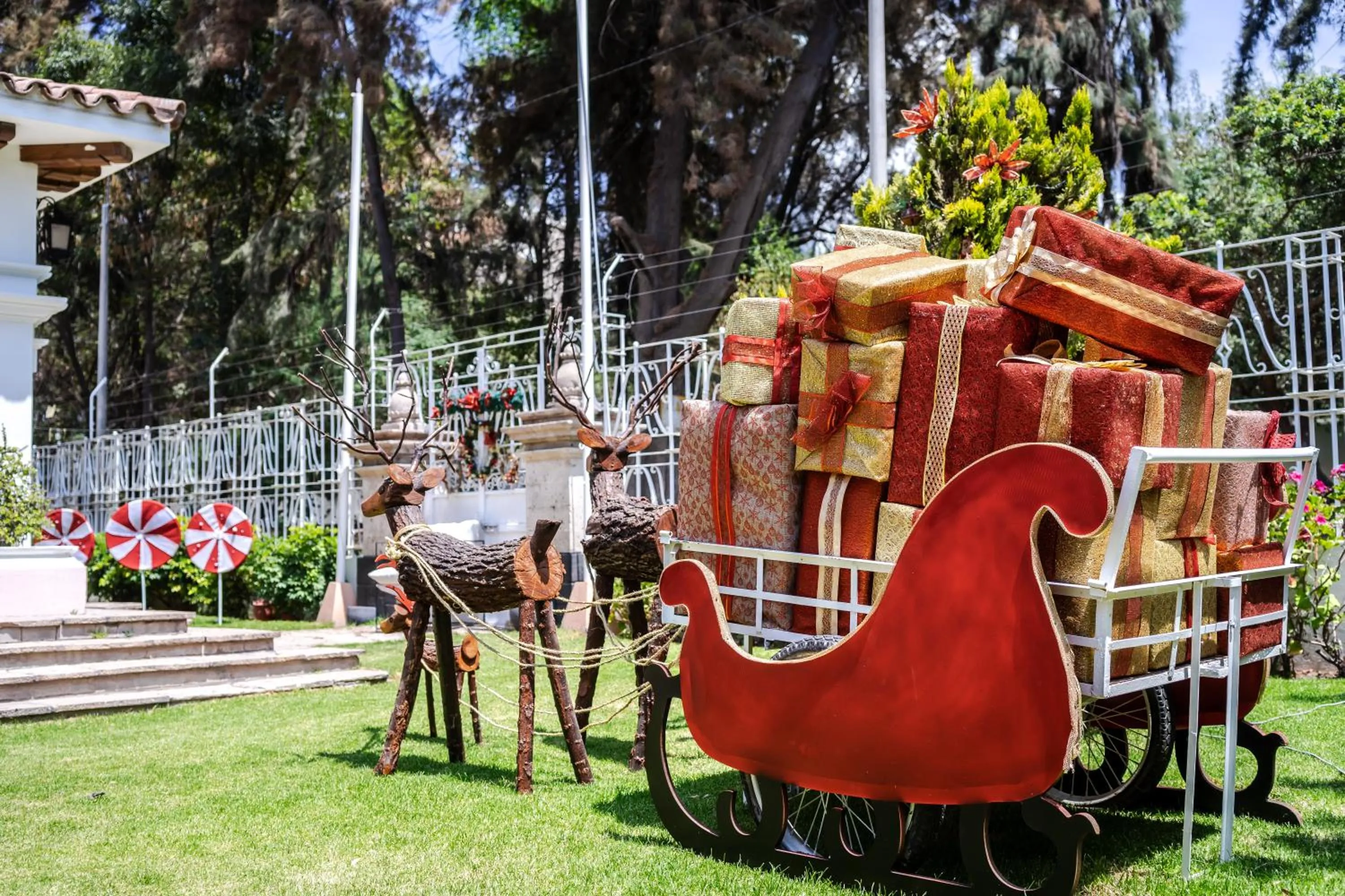 Garden view in Hotel Casa Campo by Cassana