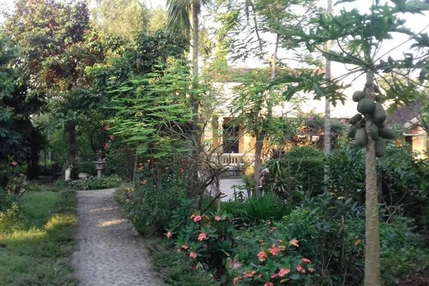 Garden in Ciel Homestay