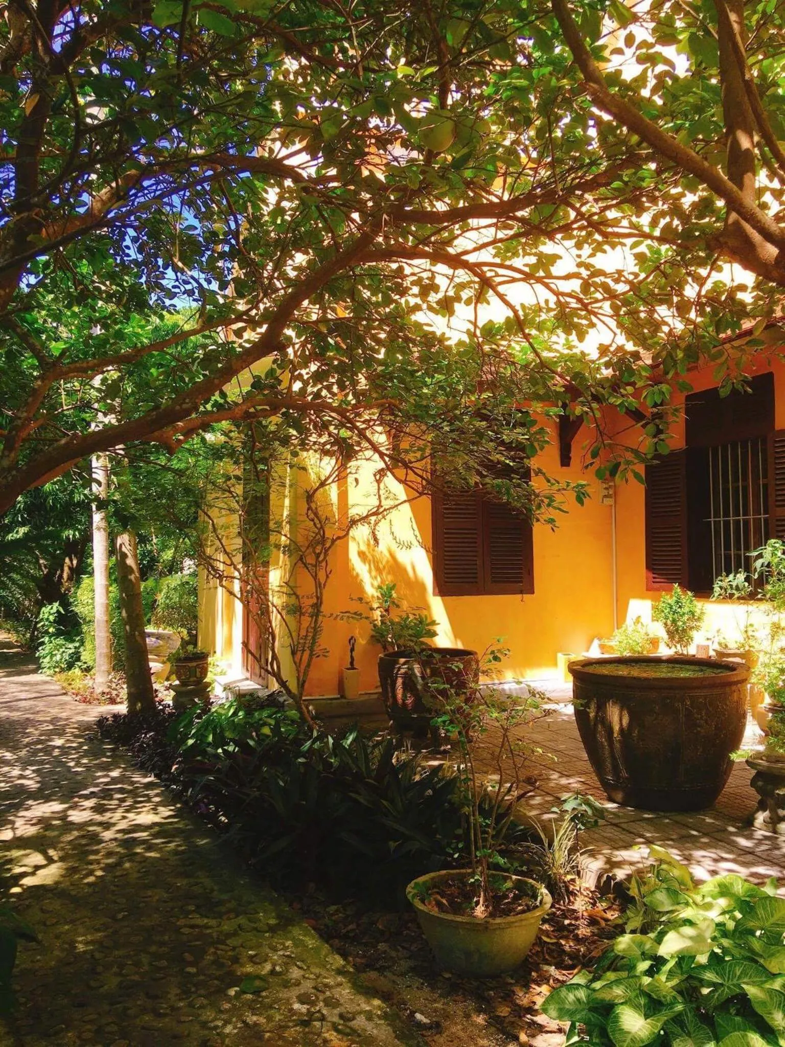 Garden in Ciel Homestay