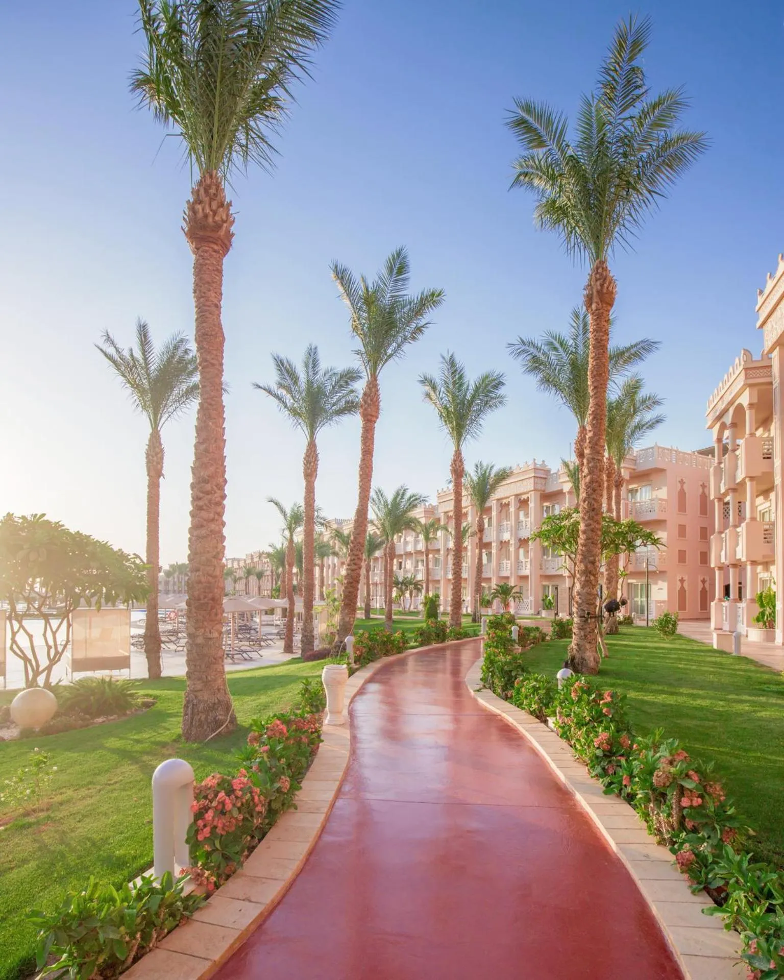 Natural landscape in Pickalbatros Palace - Aqua Park Hurghada