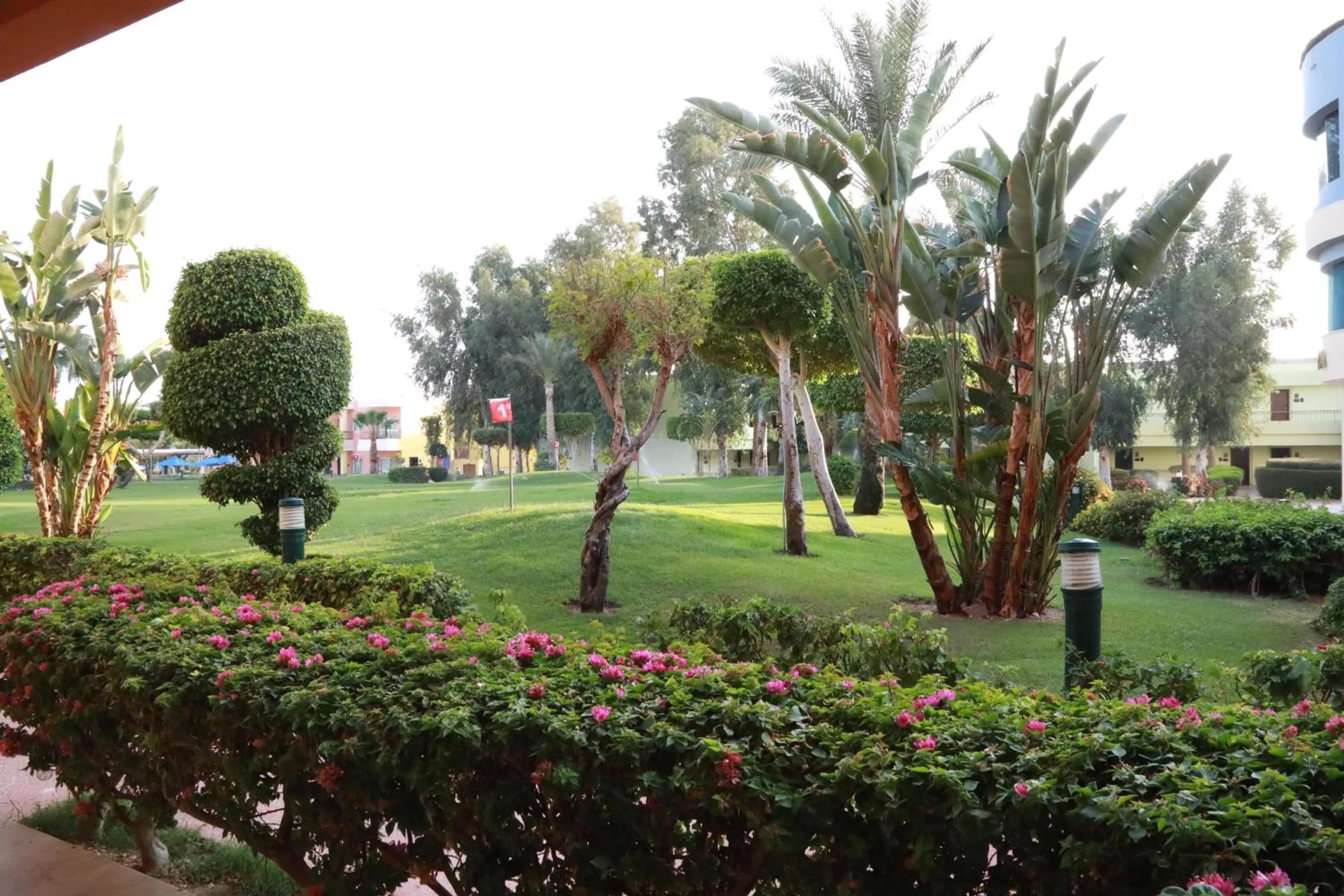 View (from property/room) in Sierra Sharm El Sheikh