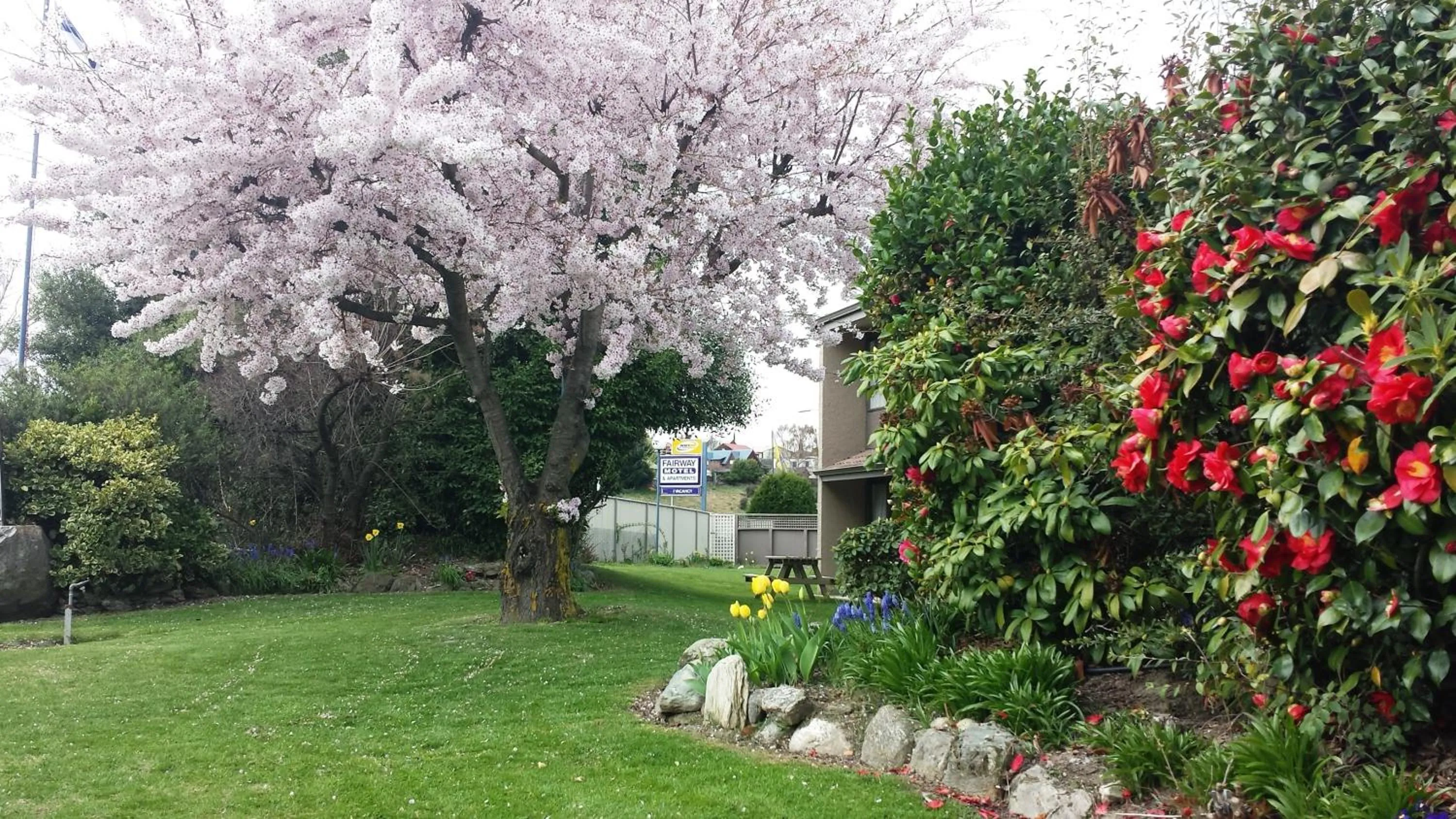 Spring in Fairway Motel & Apartments