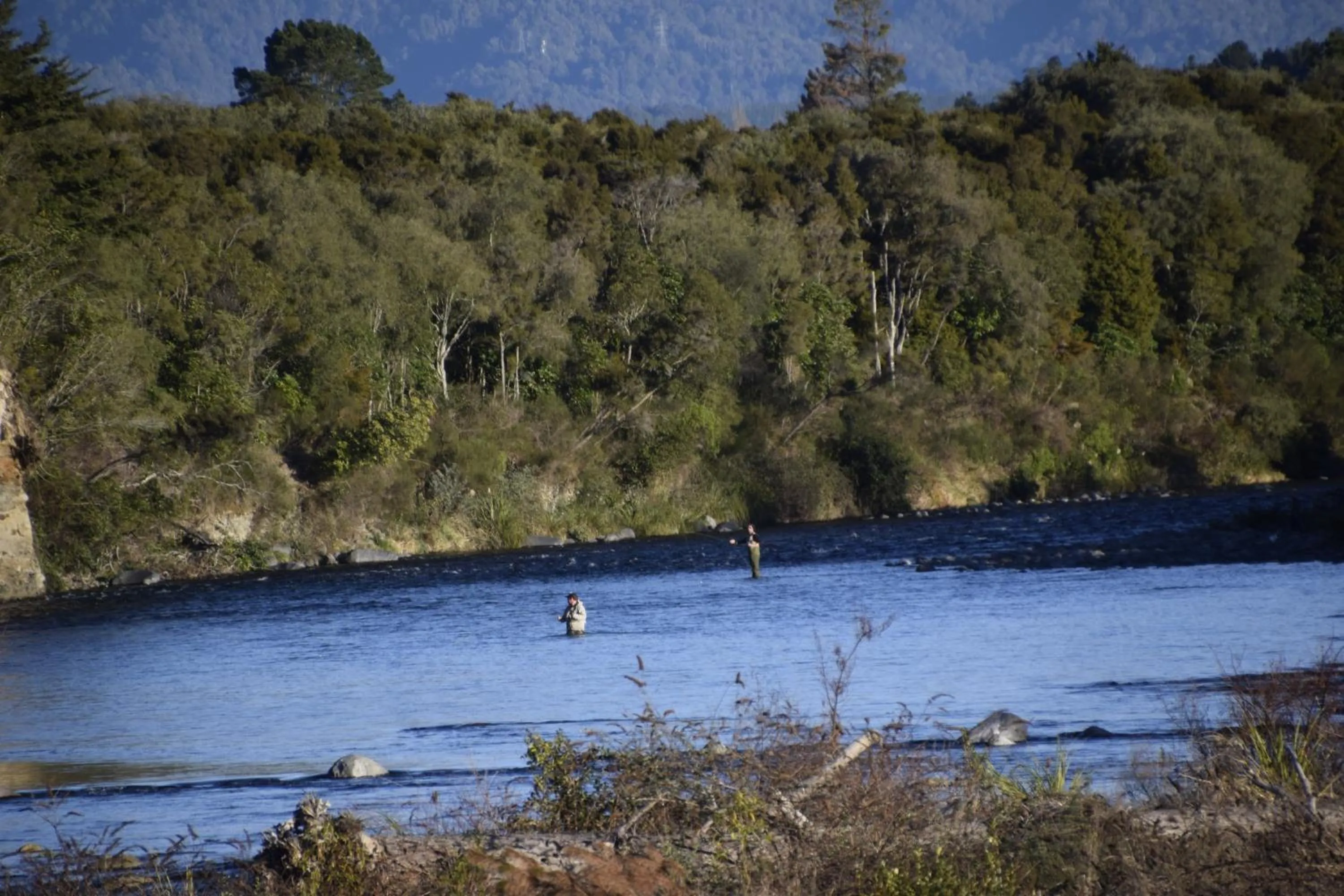 Fishing in Judges Pool Motel Turangi