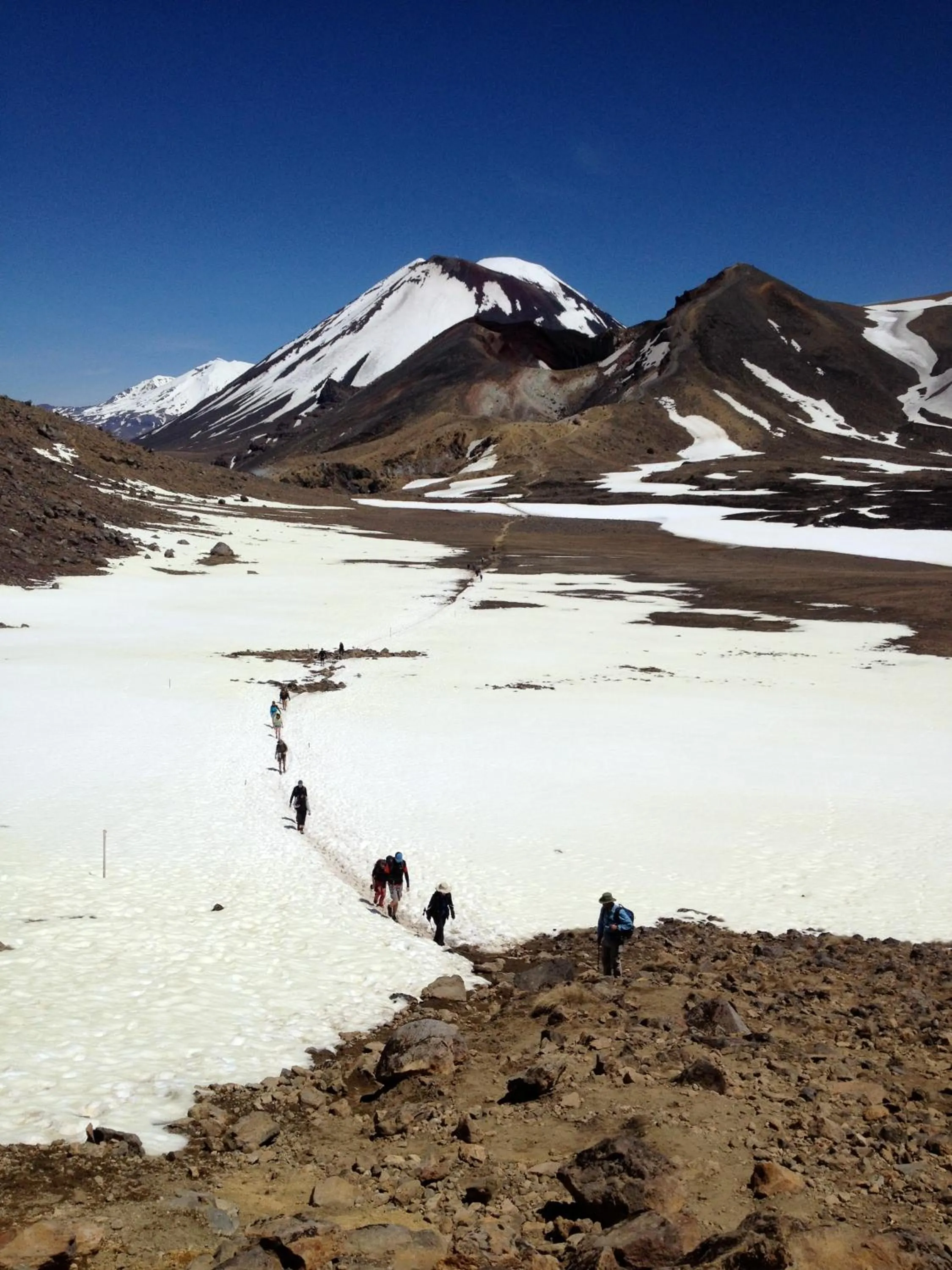 Hiking in Judges Pool Motel Turangi