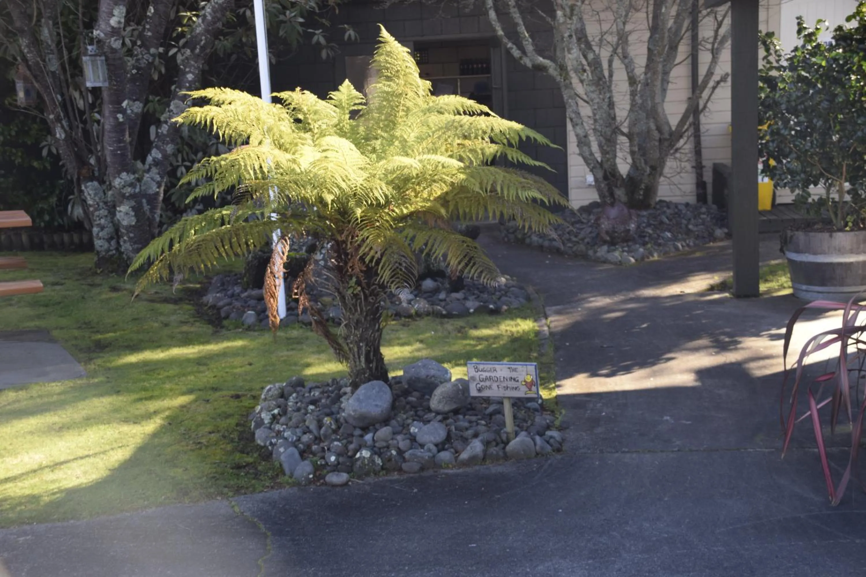 Garden in Judges Pool Motel Turangi