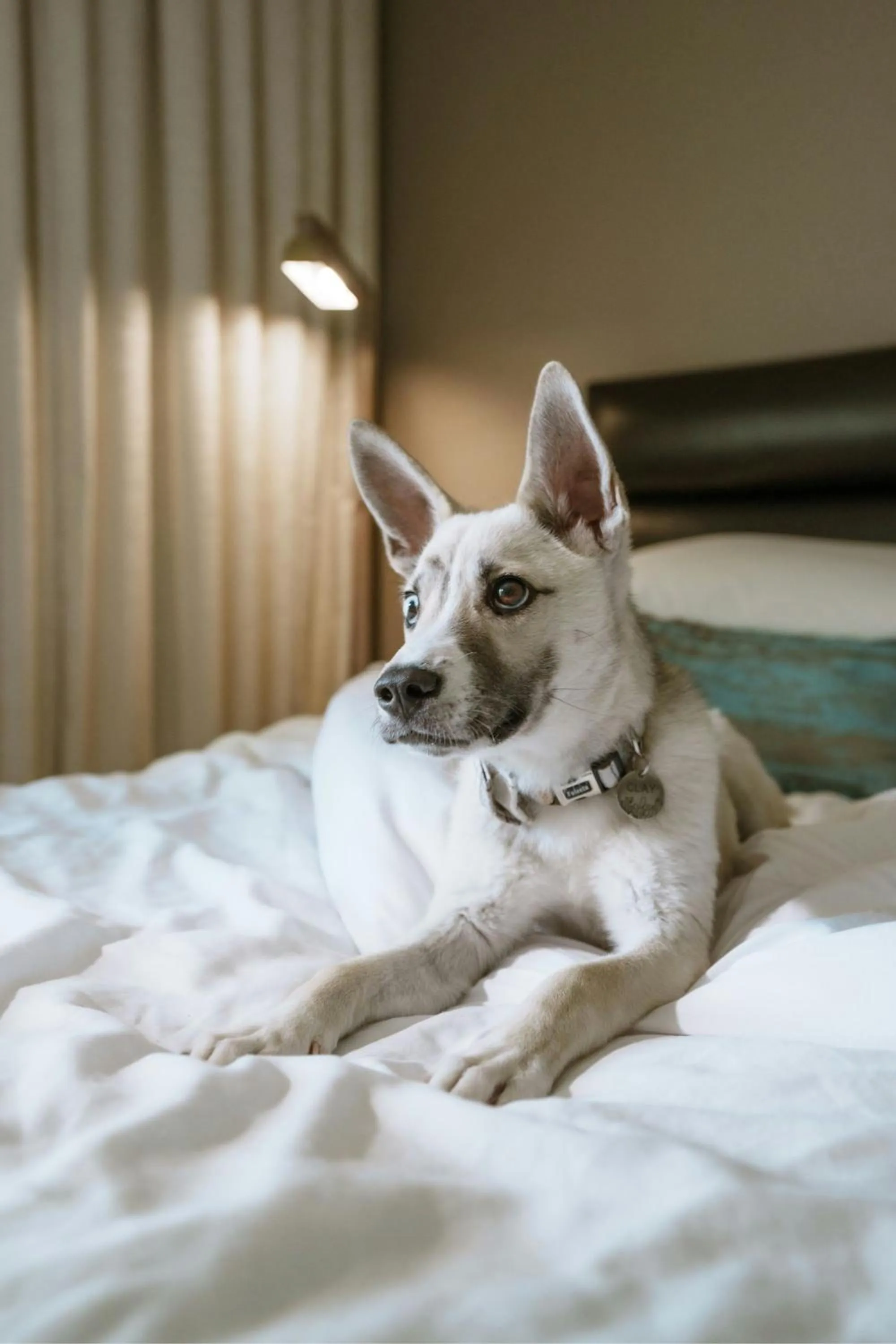 Photo of the whole room in HOTEL PASEO, Autograph Collection