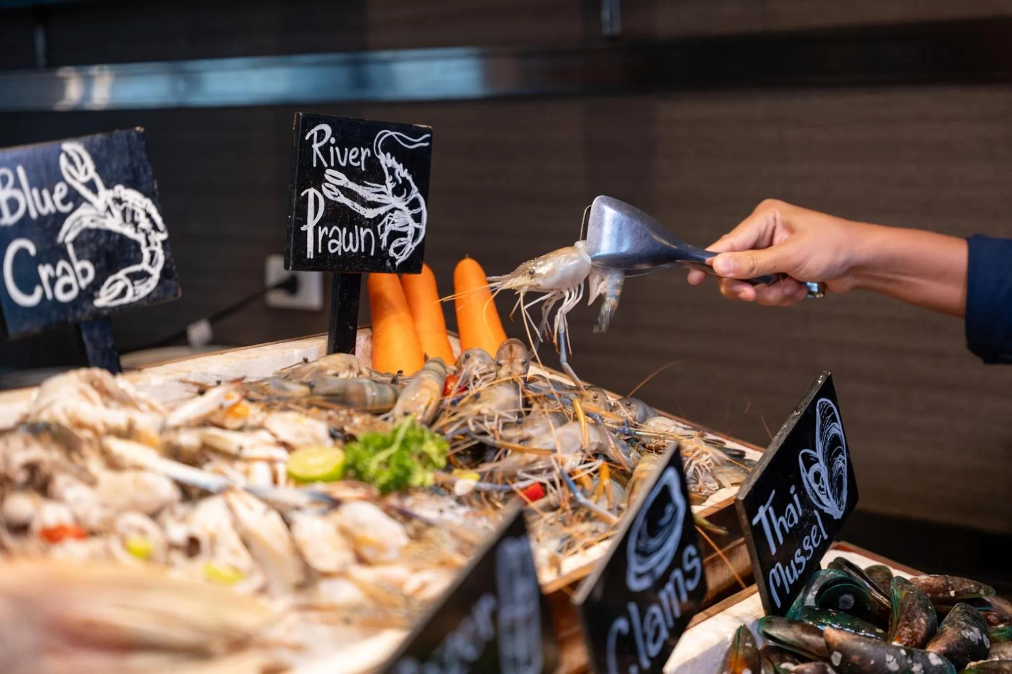 Restaurant/places to eat in Four Points by Sheraton Bangkok Ploenchit Sukhumvit