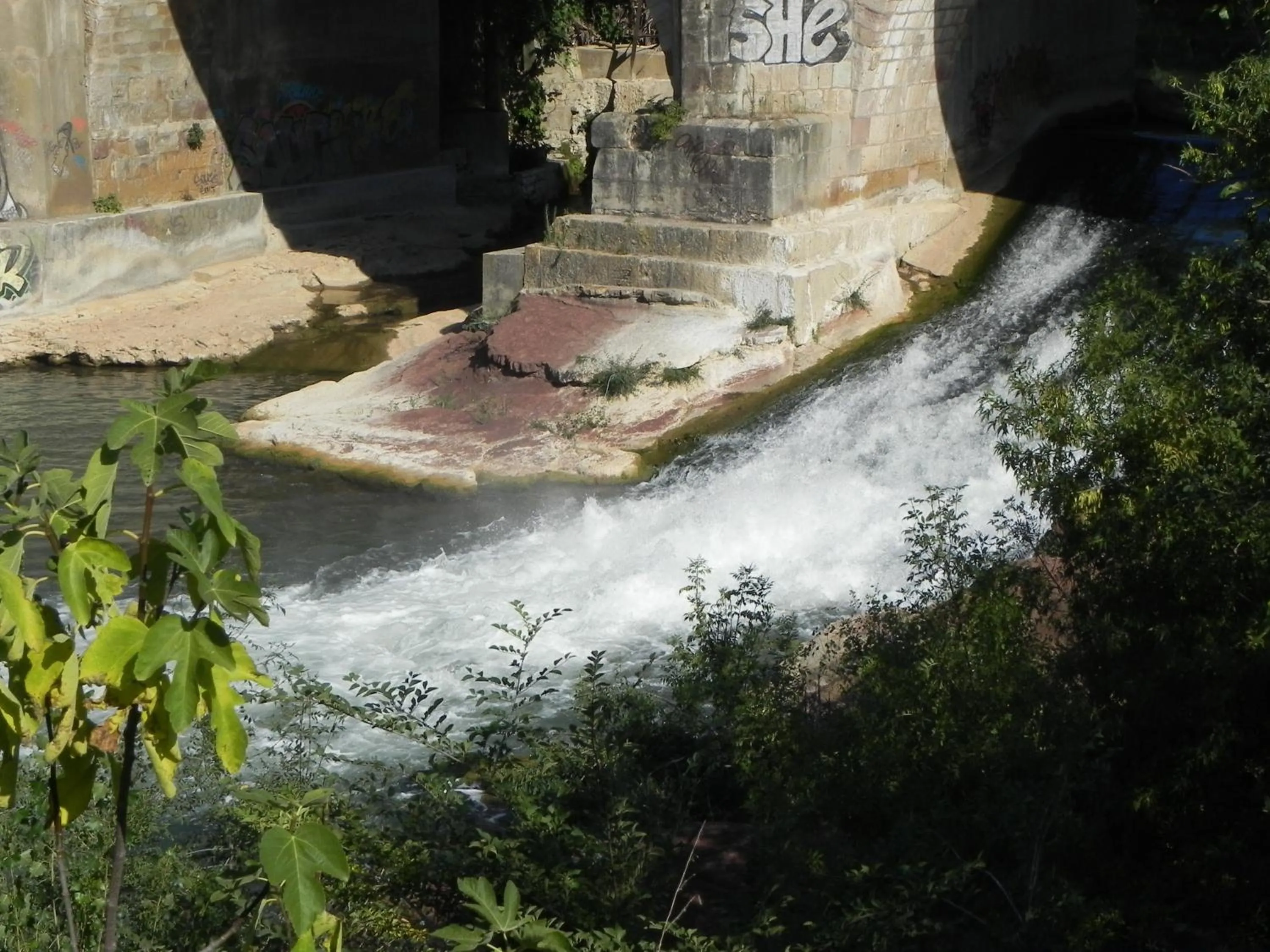 Natural landscape in Hotel Aurelia